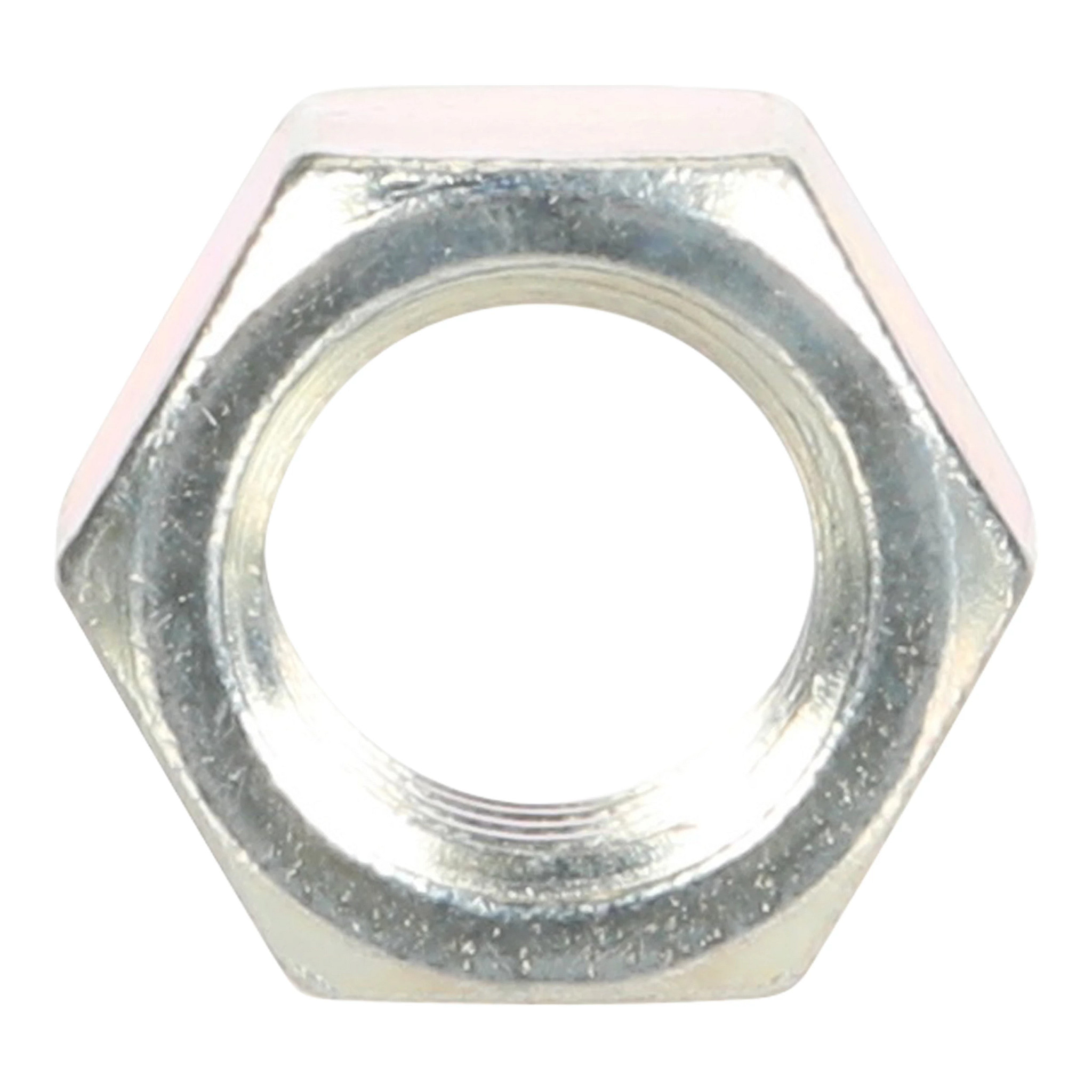 NUT | CASECE | SA | EN