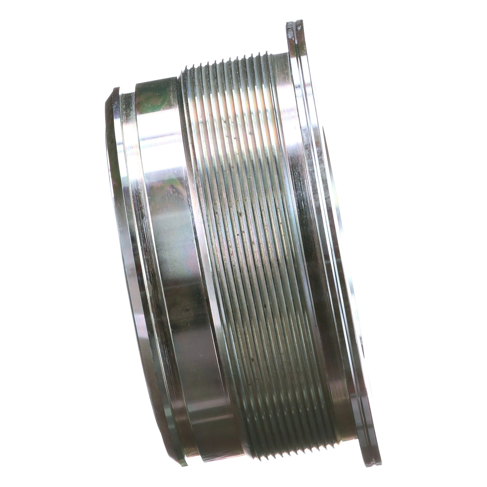 GLAND | CASECE | CA | EN