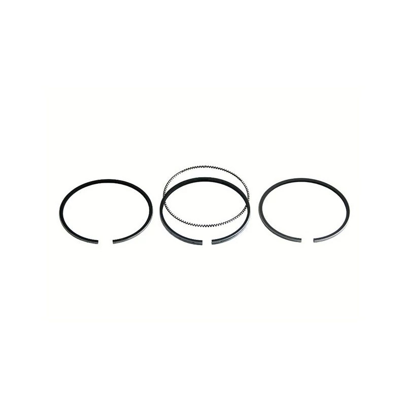 PISTON RING SET | CASECE | US | EN