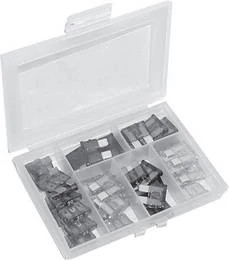 40-Piece Standard Blade Fuse Assortment | CASECE | US | EN