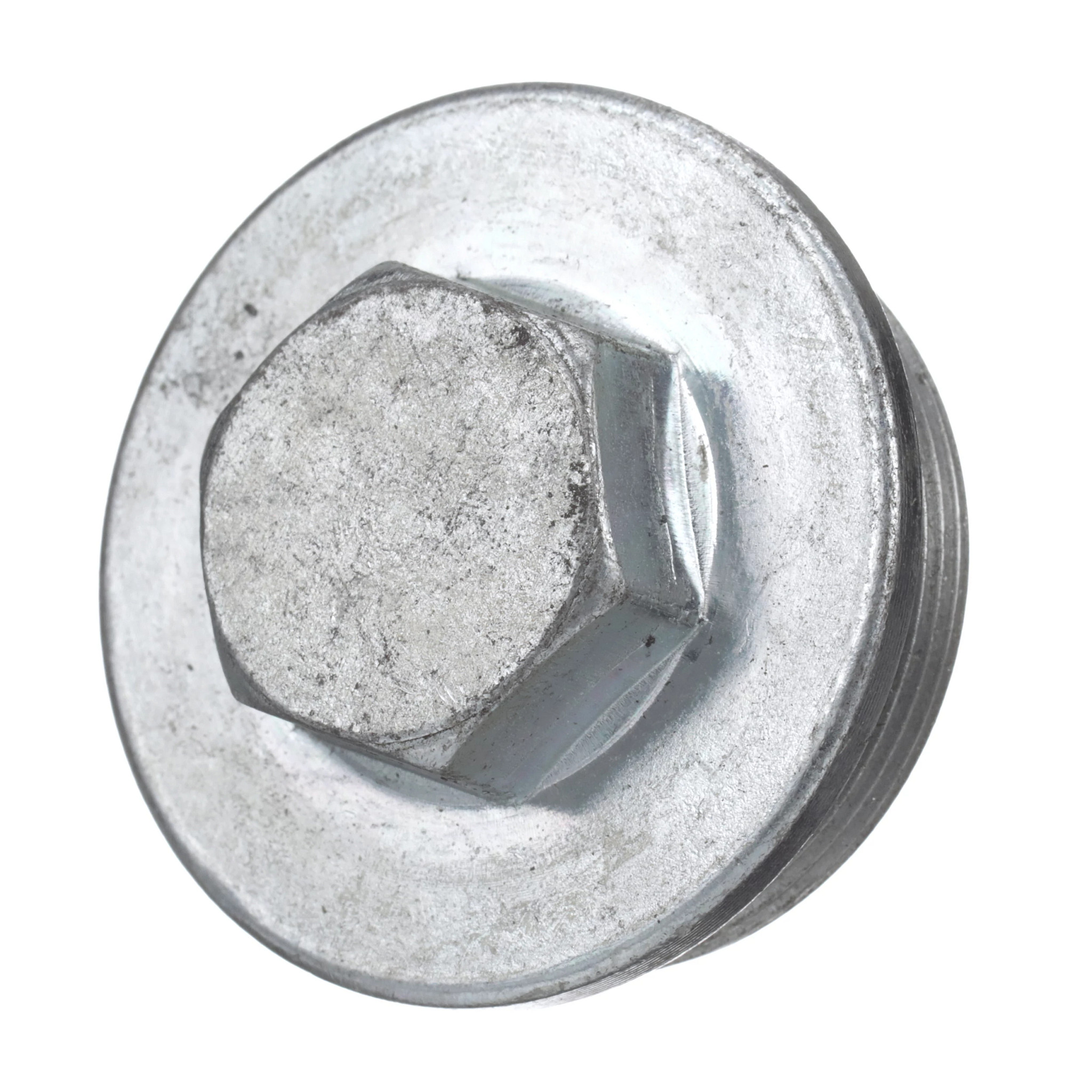 BUJÃO | CASECE | BR | PT