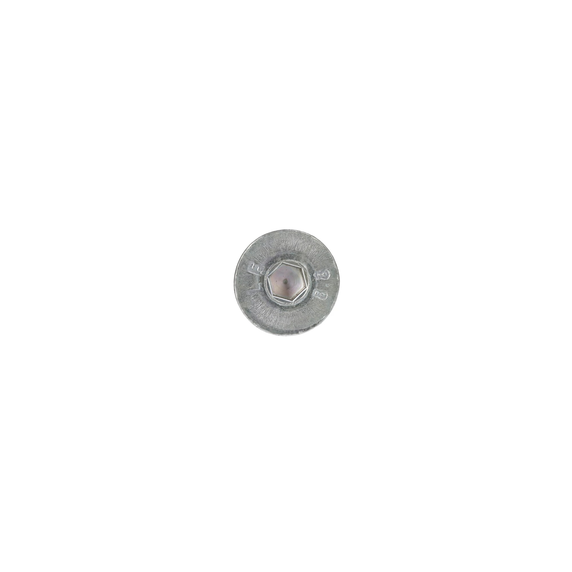 Parafuso | CASECE | BR | PT