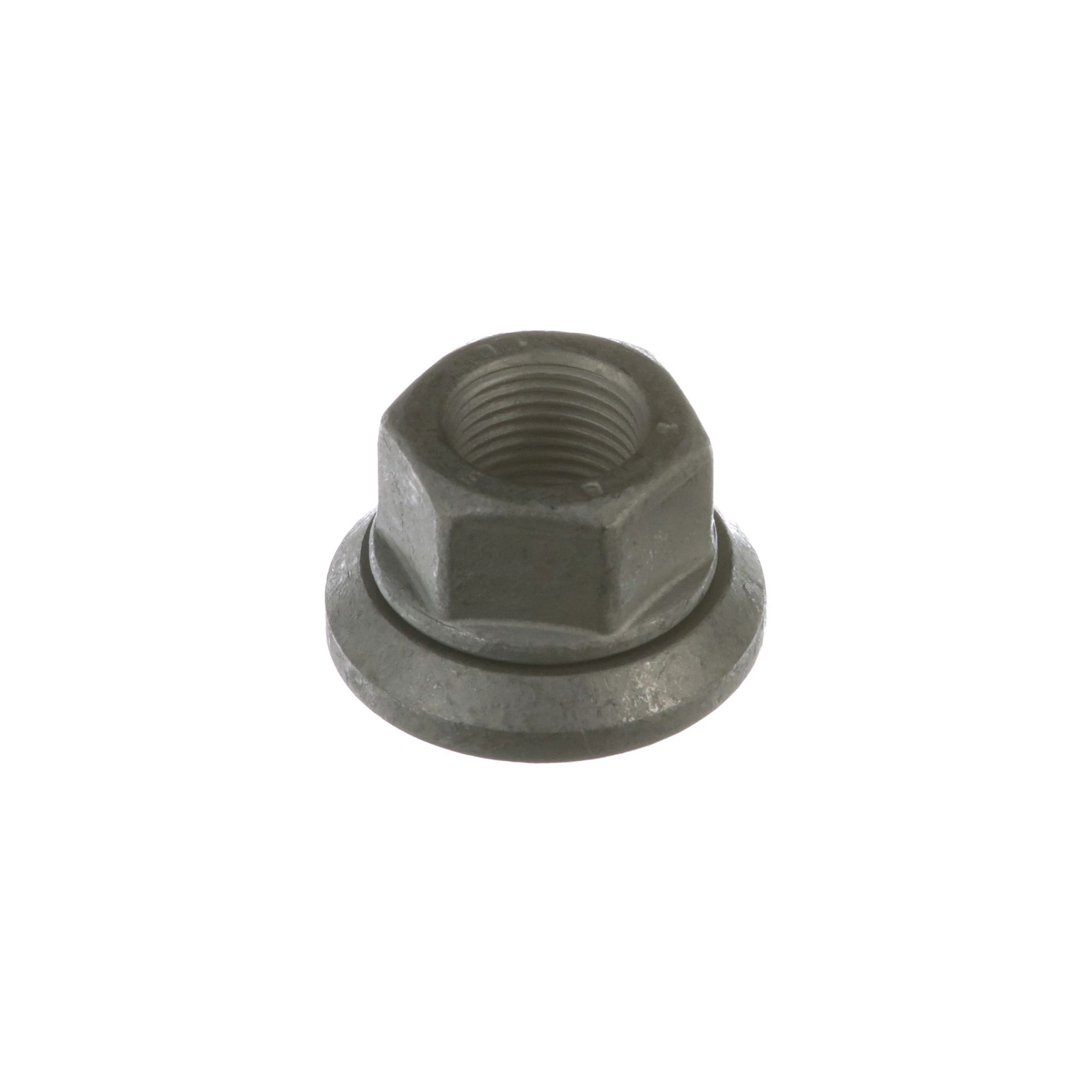 NUT | NEWHOLLANDAG | GB | EN