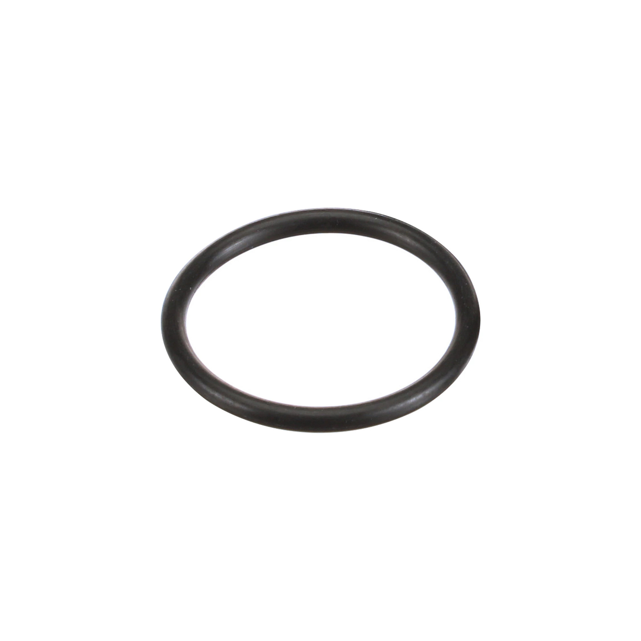 JOINT TORIQUE | CASEIH | EU | IT