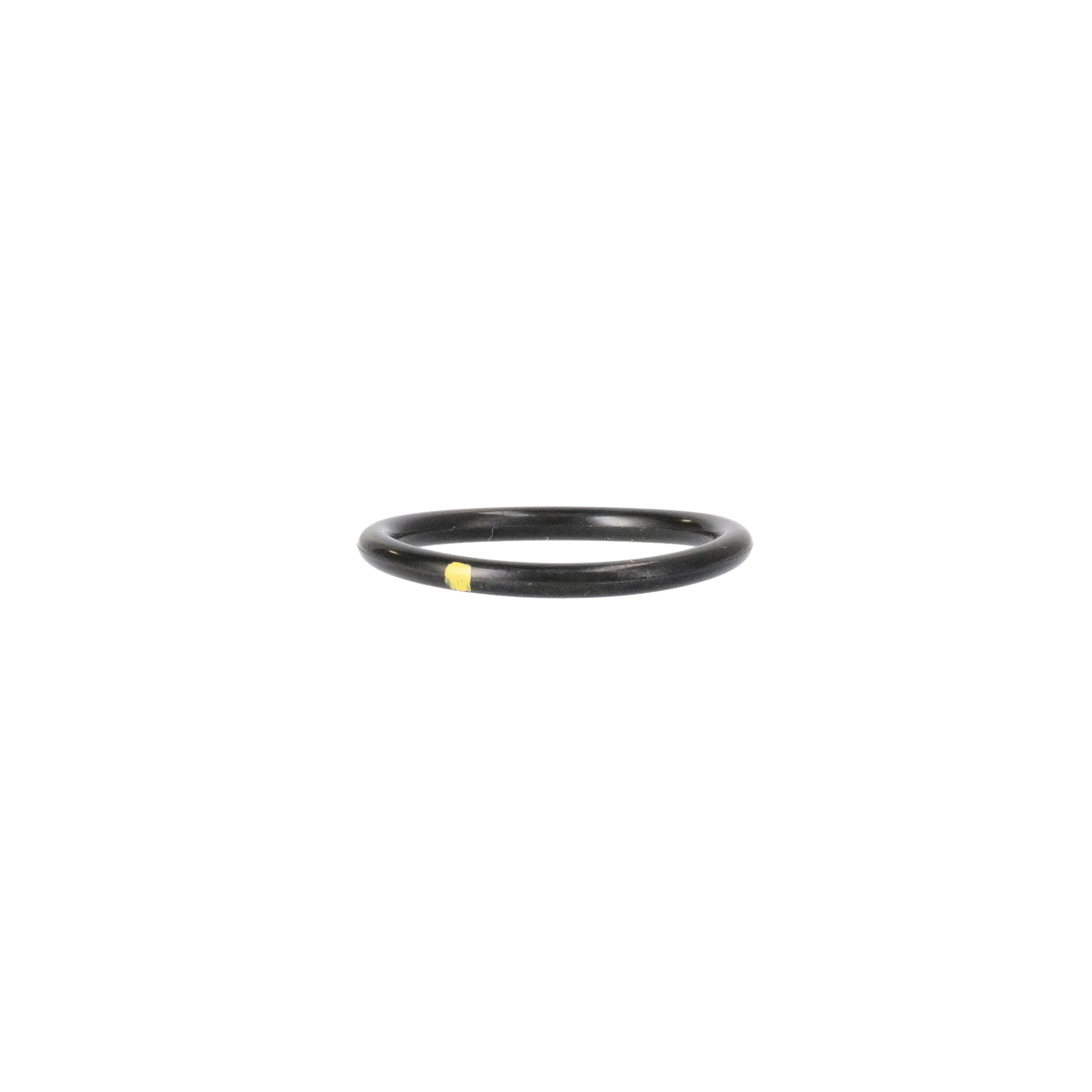 O-RING | CASECE | SA | PT