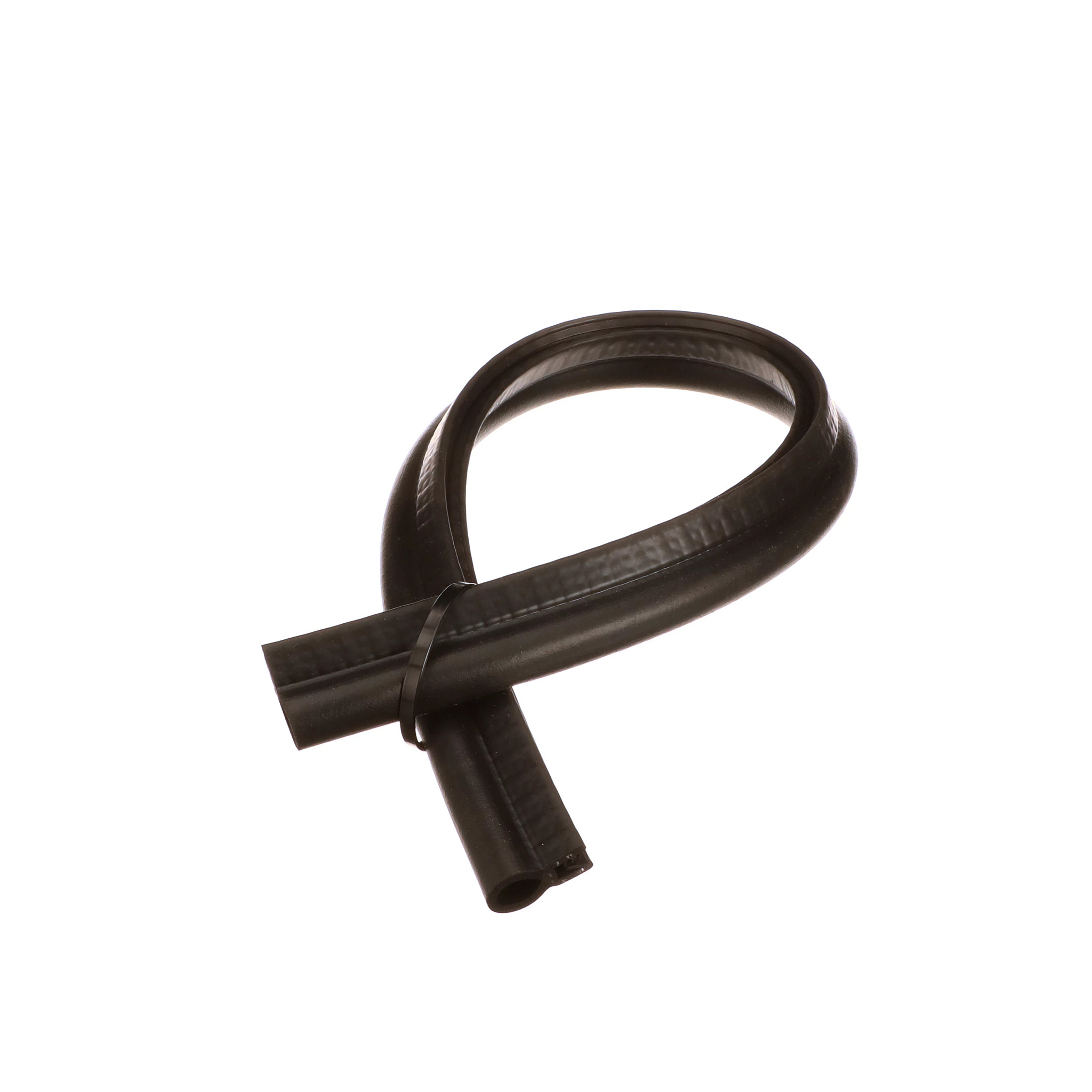 Guarnição Porta | CASEIH | BR | PT