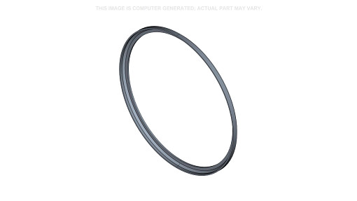 ANILLO | CASEIH | SA | PT