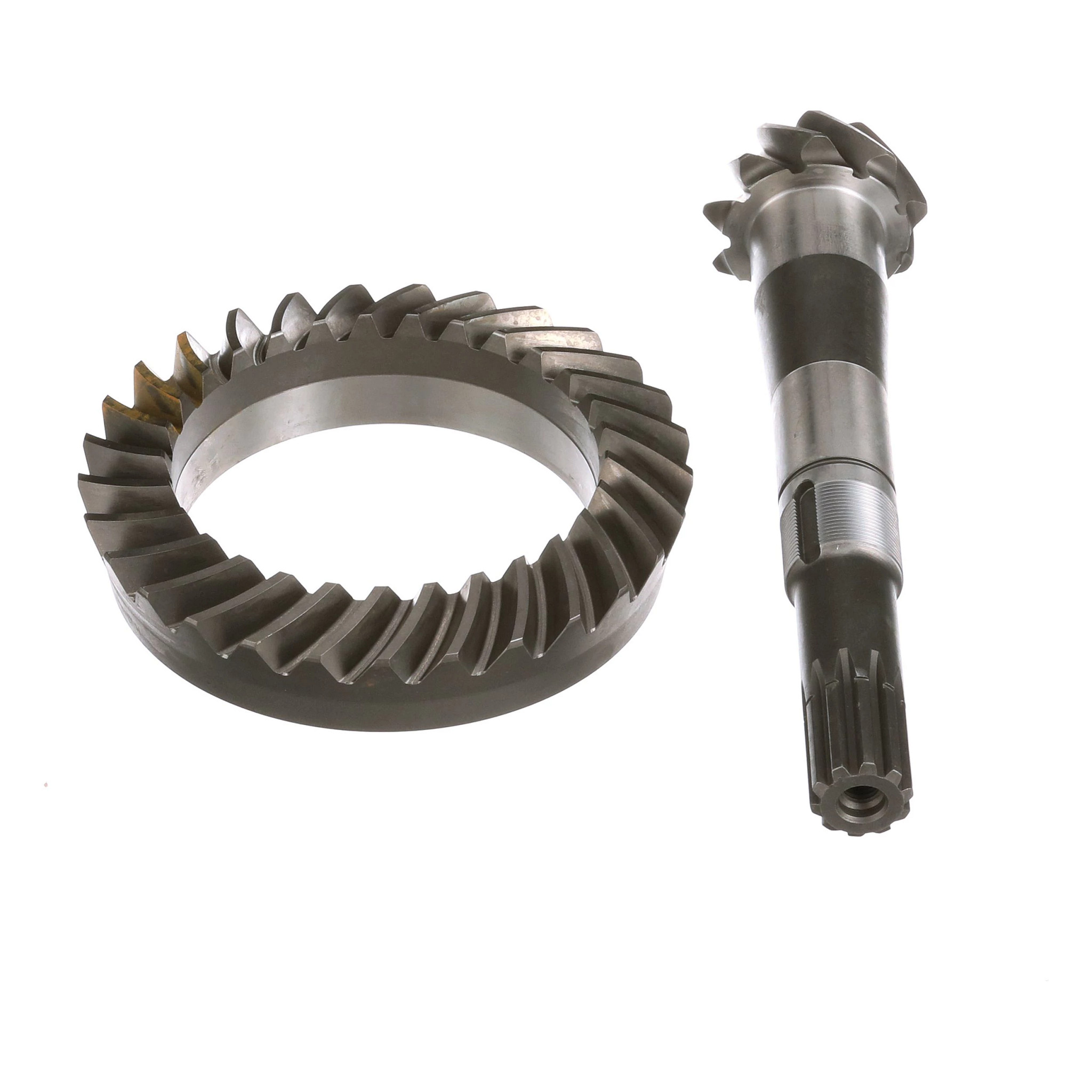 PIGNON CONIQUE | NEWHOLLANDAG | CA | FR