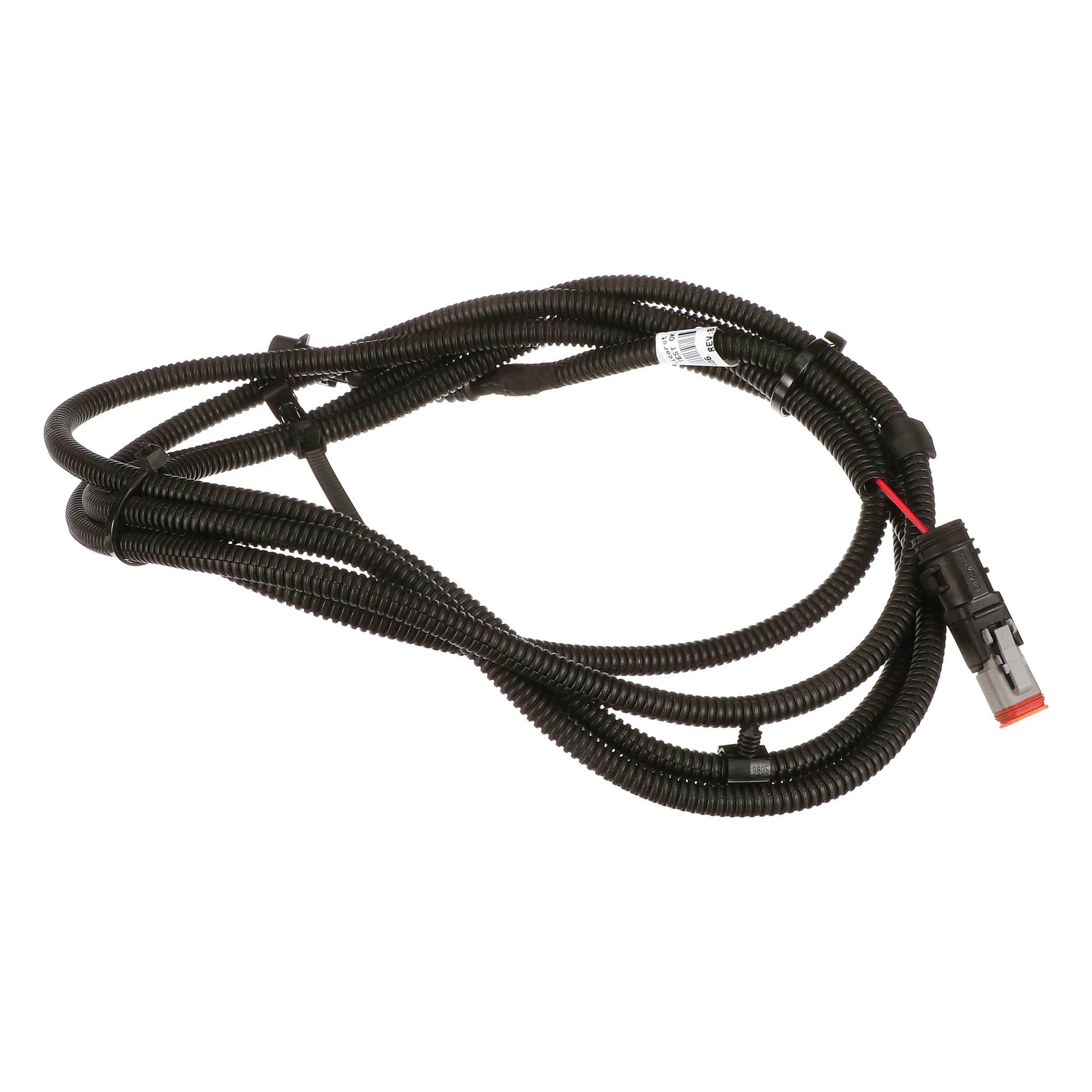 CHICOTE | CASECE | EU | PT