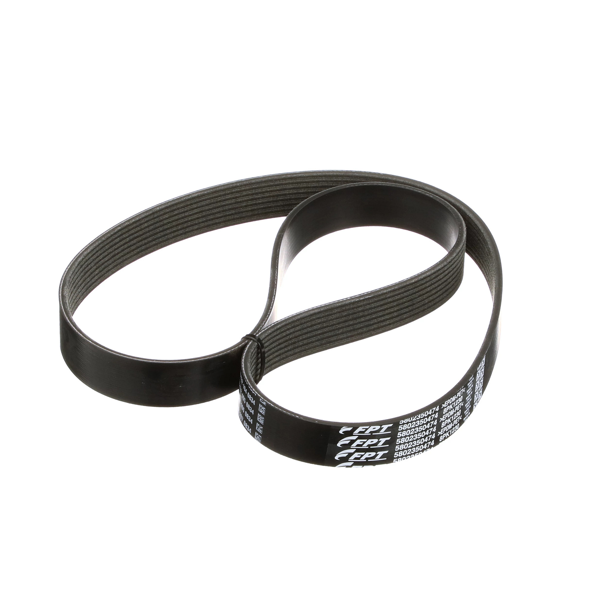 V-Belt | CASECE | BR | PT