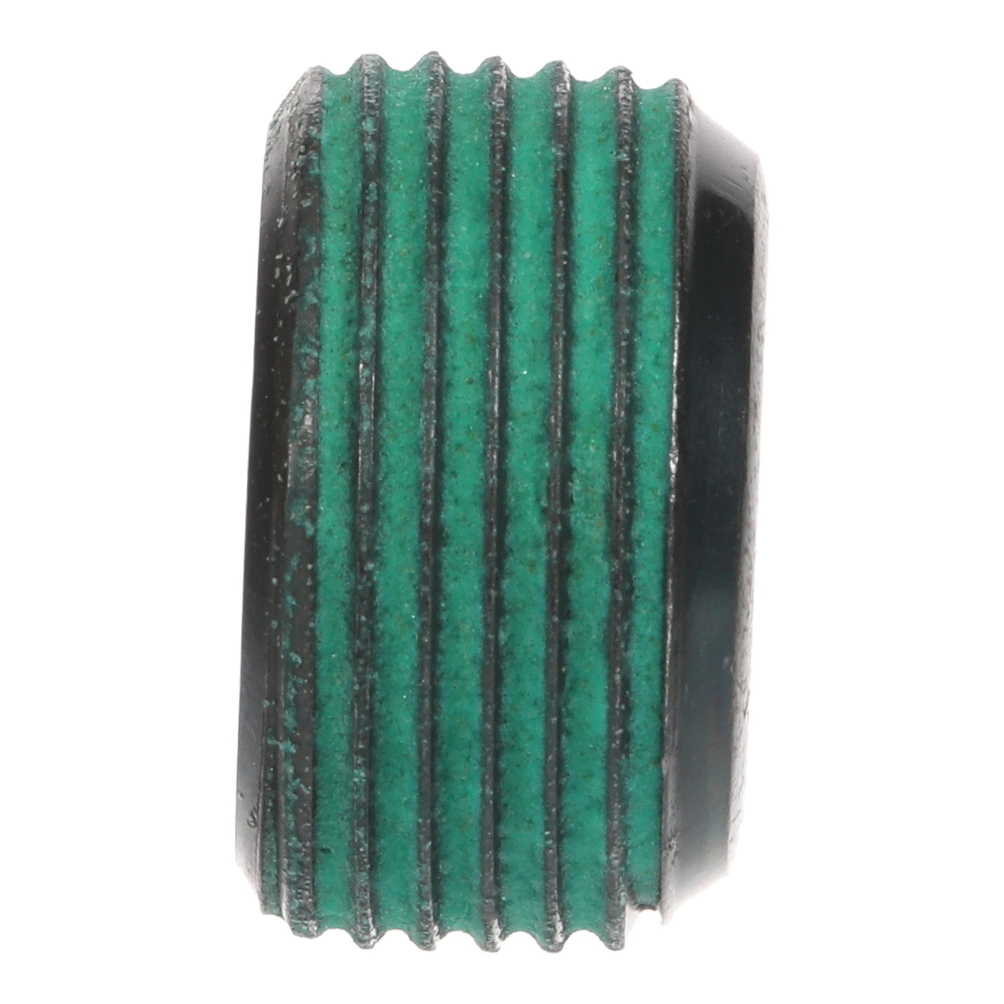 PLUG | CASECE | CA | EN