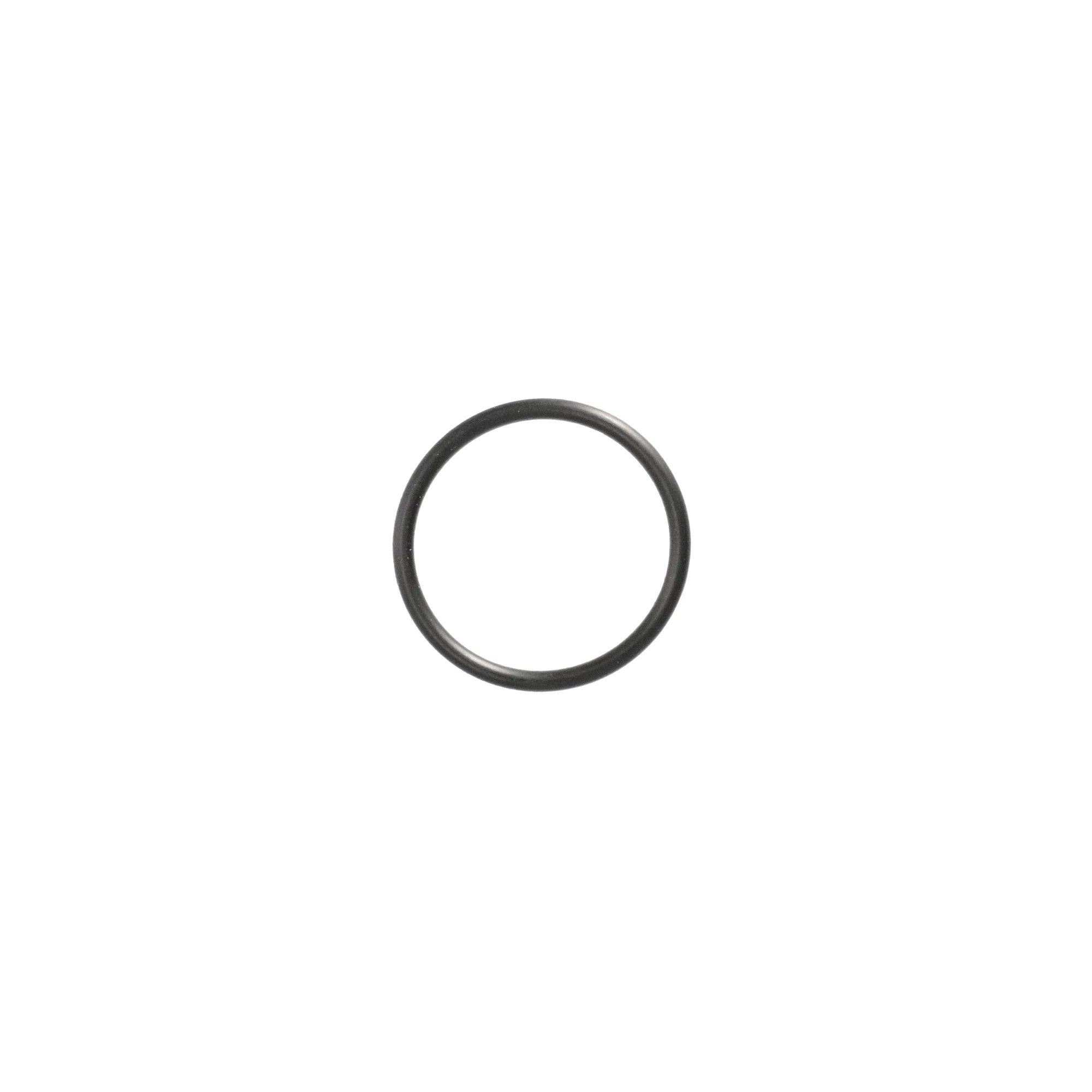 O-RING | CASEIH | AMEA | EN