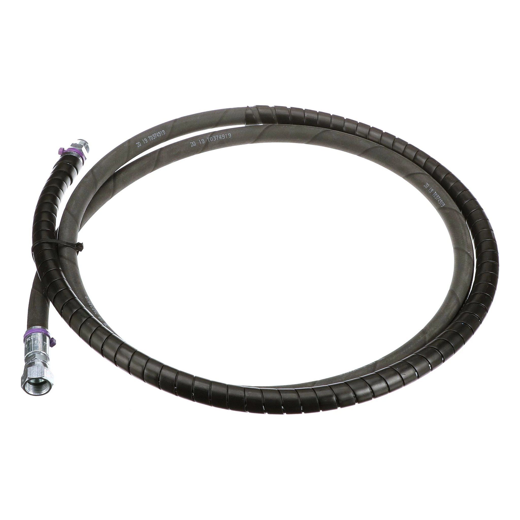 MANGUEIRA | CASECE | SA | PT