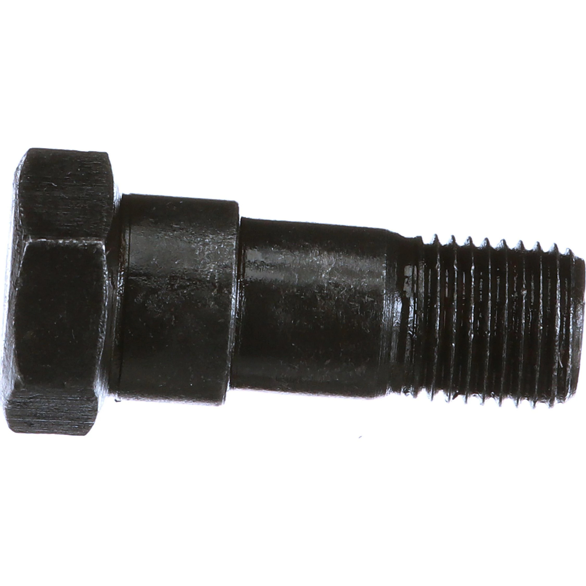 BOLT | CASECE | CA | EN