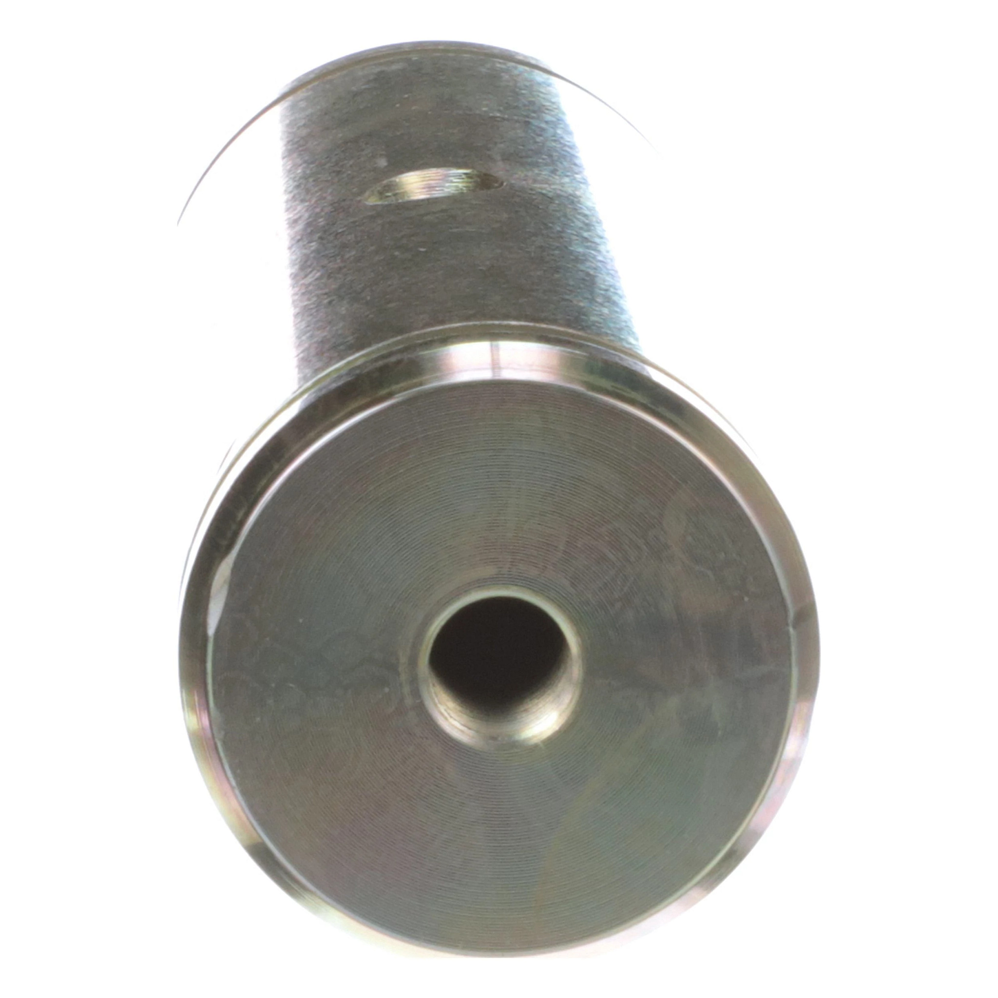 I‪‪❤︎‬ Embroidered Floral Cotton Short Sleeve Shirt | Express