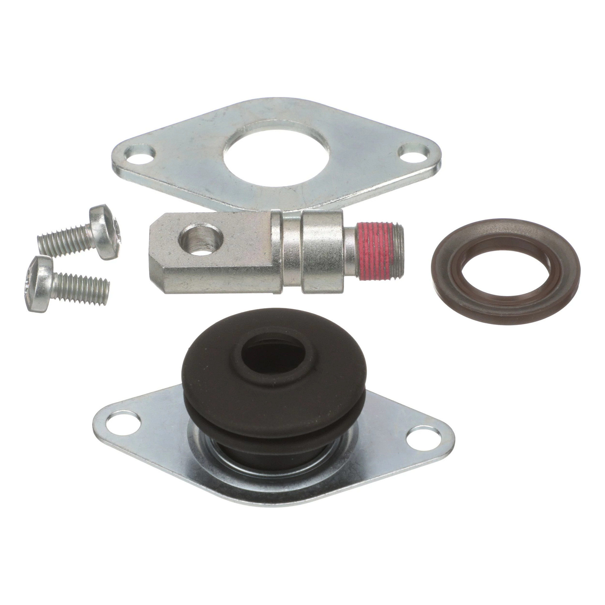 KİT | CASECE | AMEA | FR