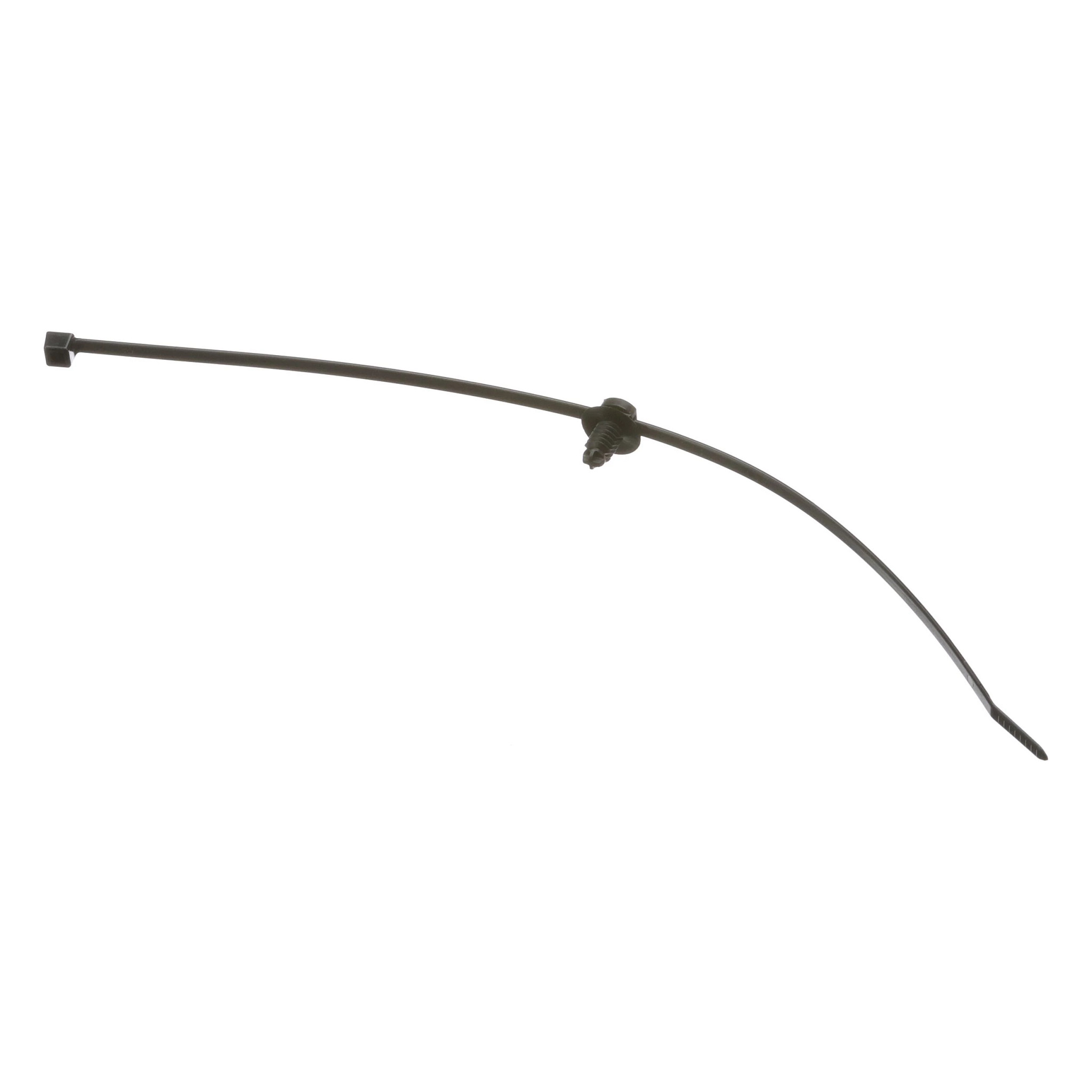 SECURING STRAP | CASECE | EU | PT