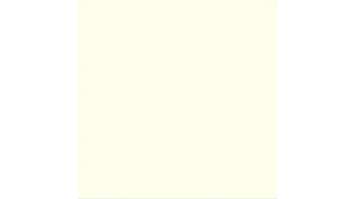 Steyr White Paint - 1 L Can | CASECE | US | EN