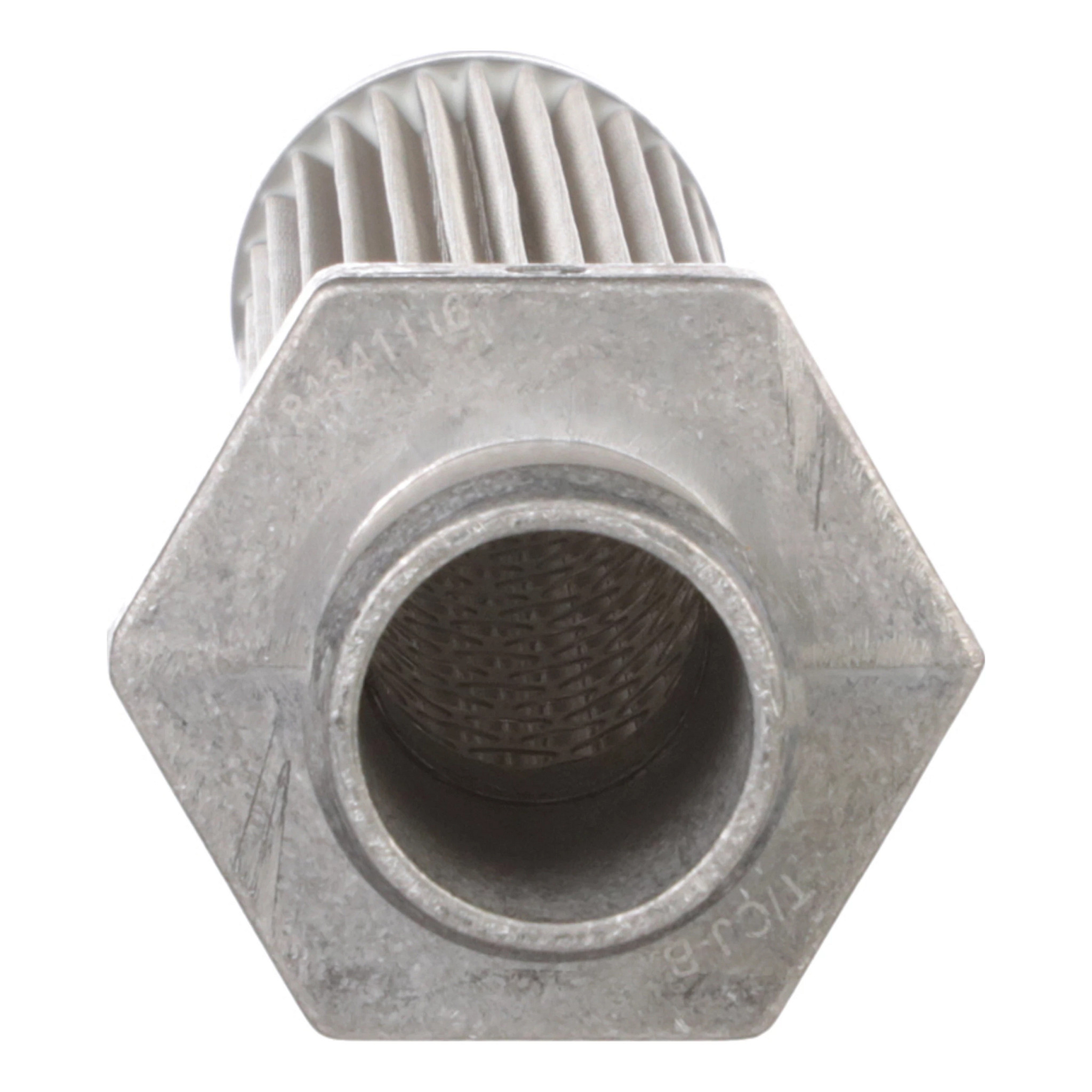 Filter Strainer