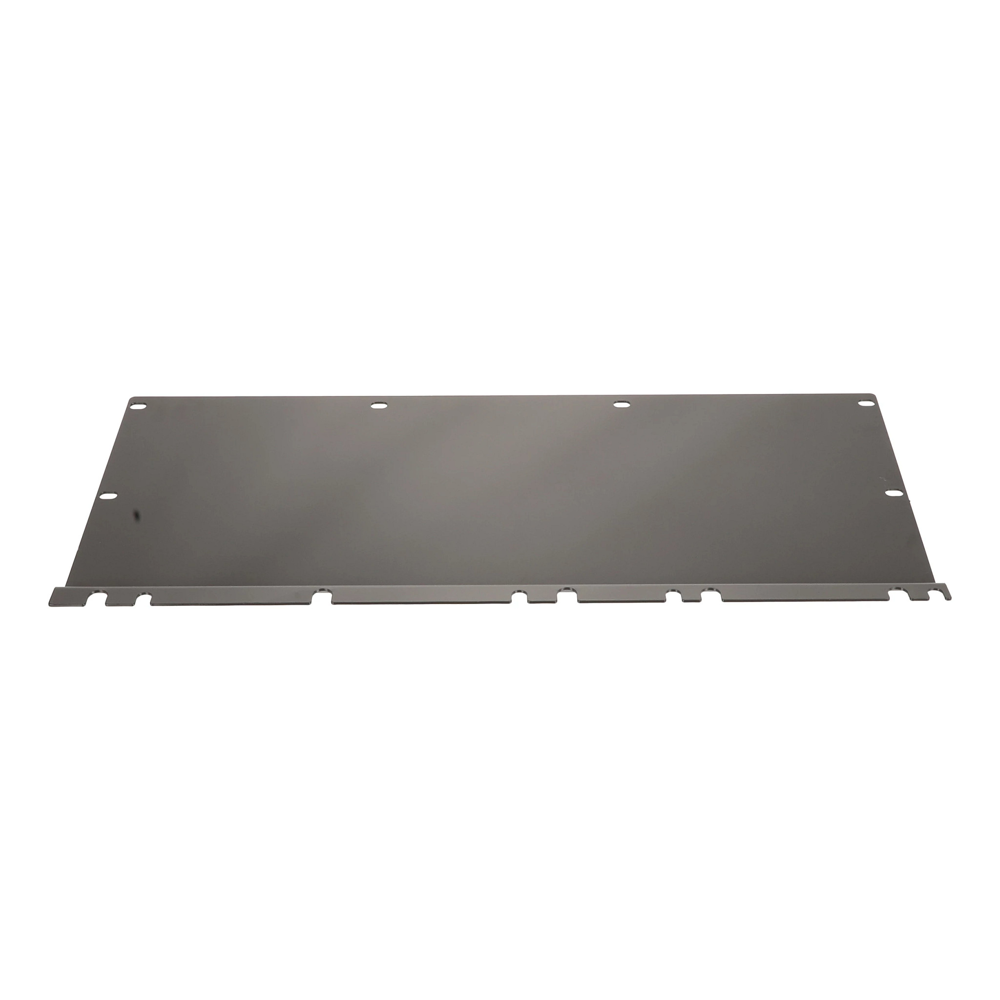 PANEL | CASECE | US | EN