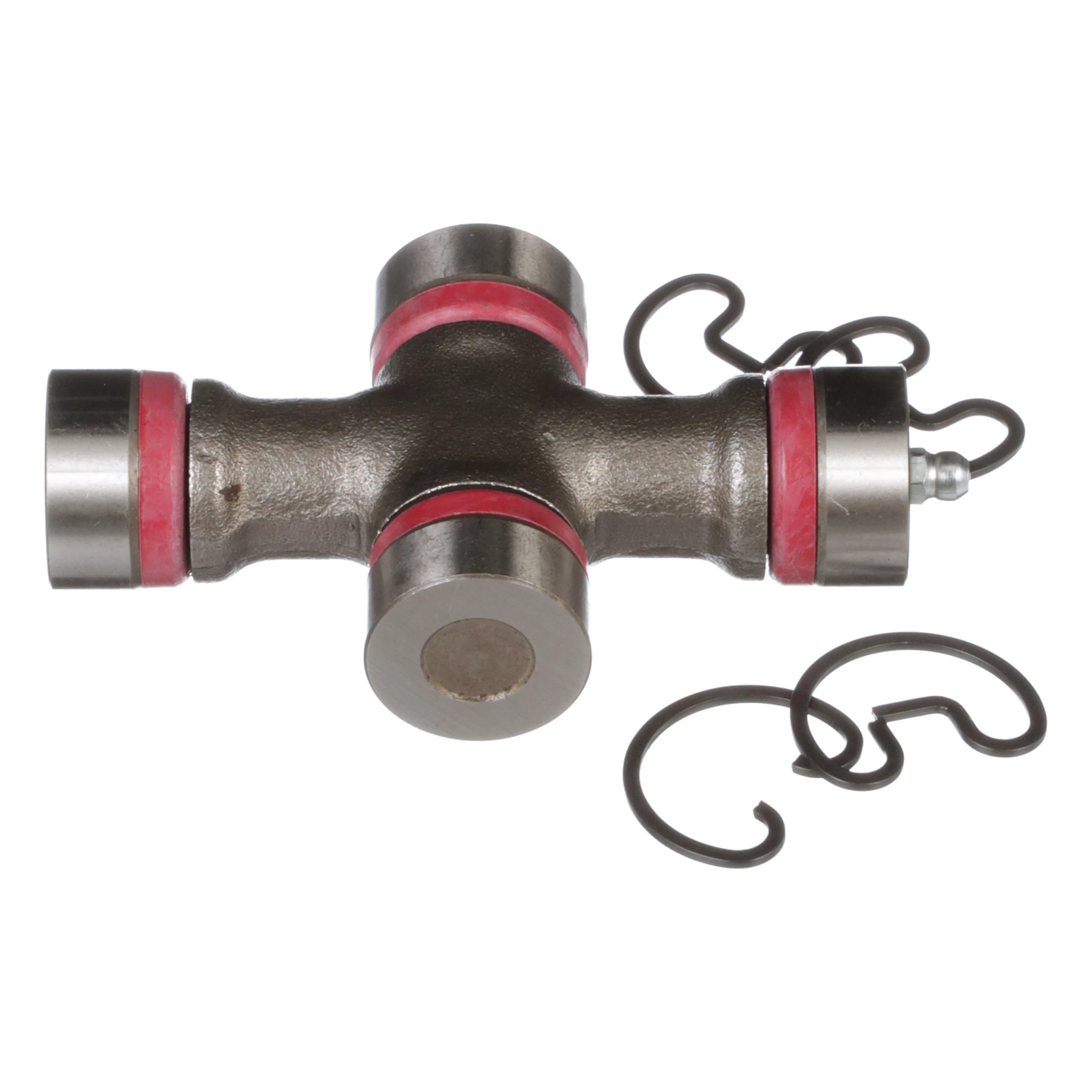 SPIDER | CASECE | CA | EN