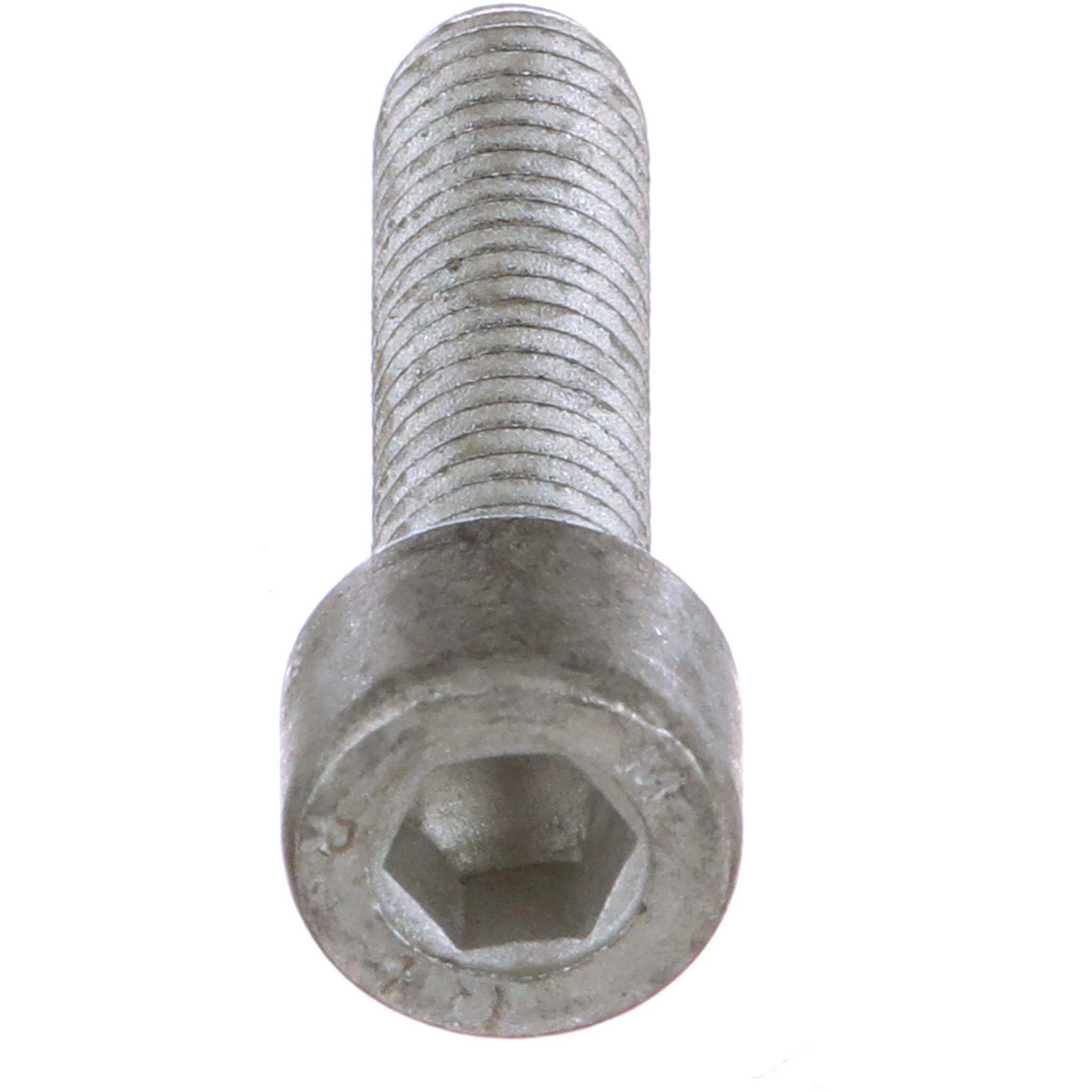 BOLT | CASECE | AMEA | EN