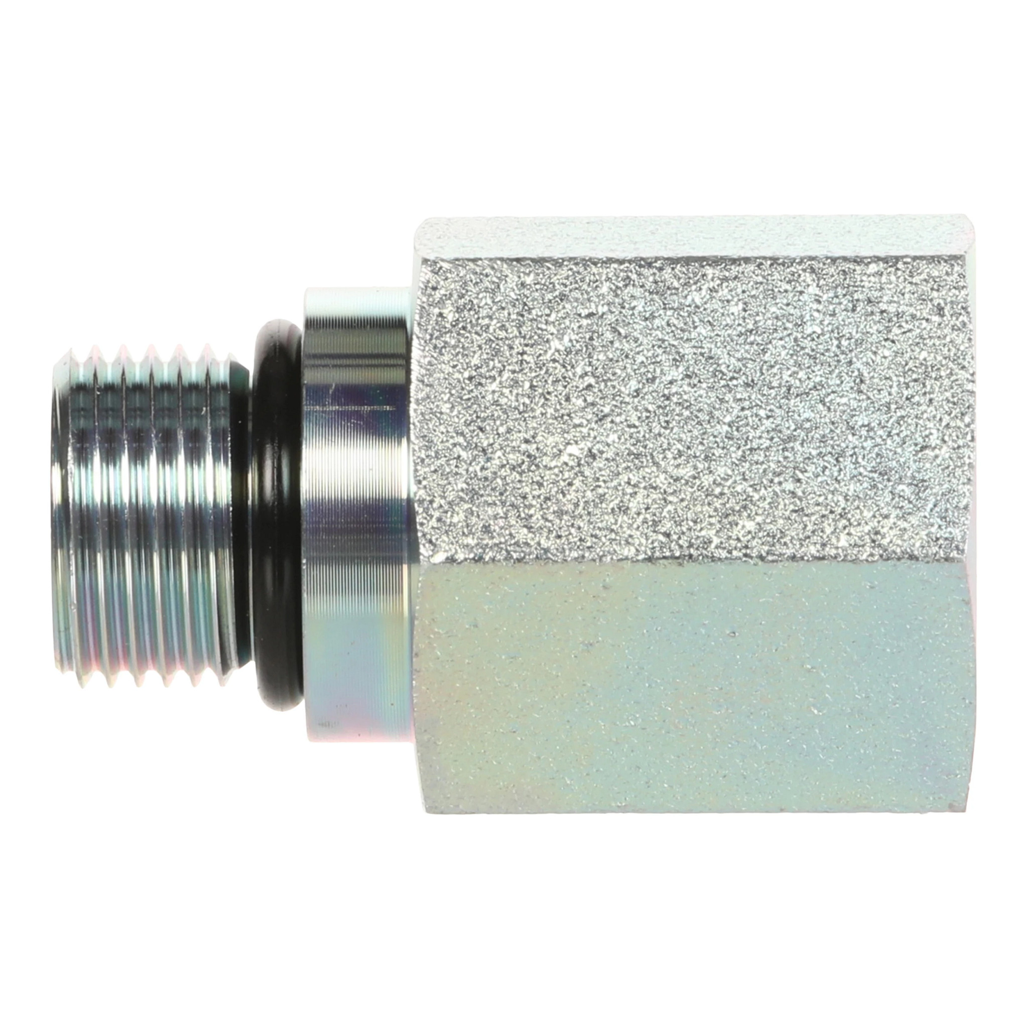 GOUJON | CASECE | AMEA | EN