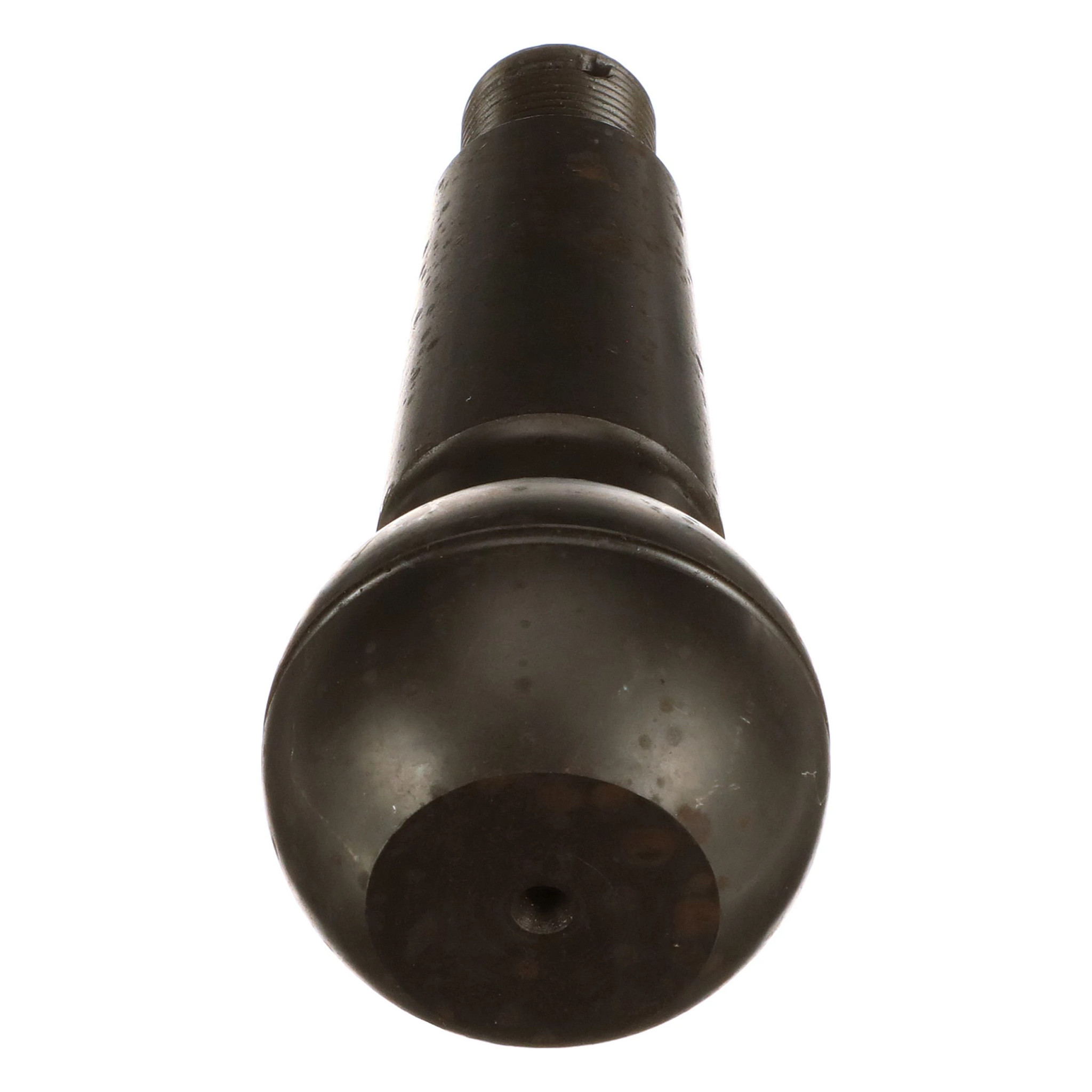 CAVILHA DE RÓTULA | CASECE | EU | PT