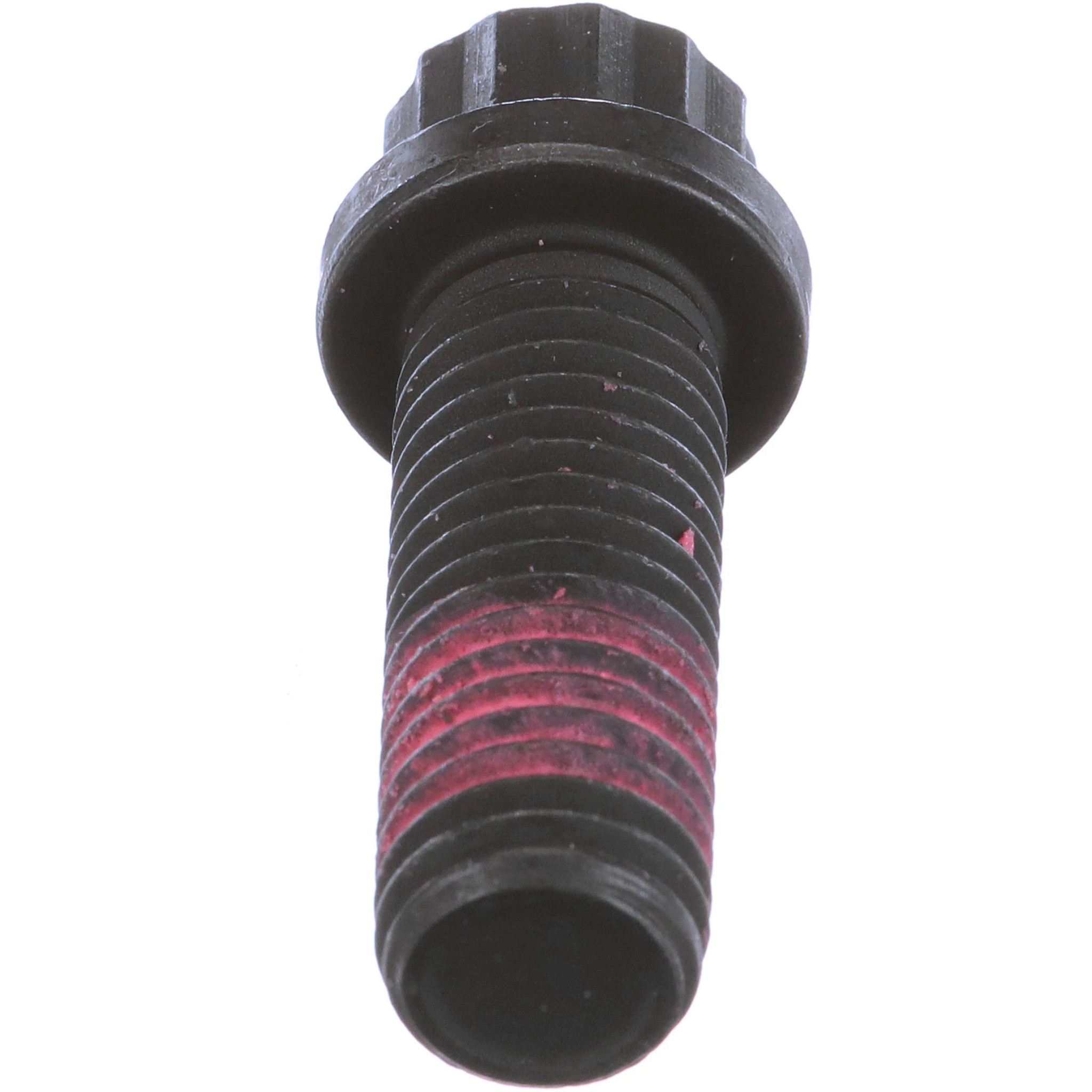 BULLONE | CASECE | EU | IT