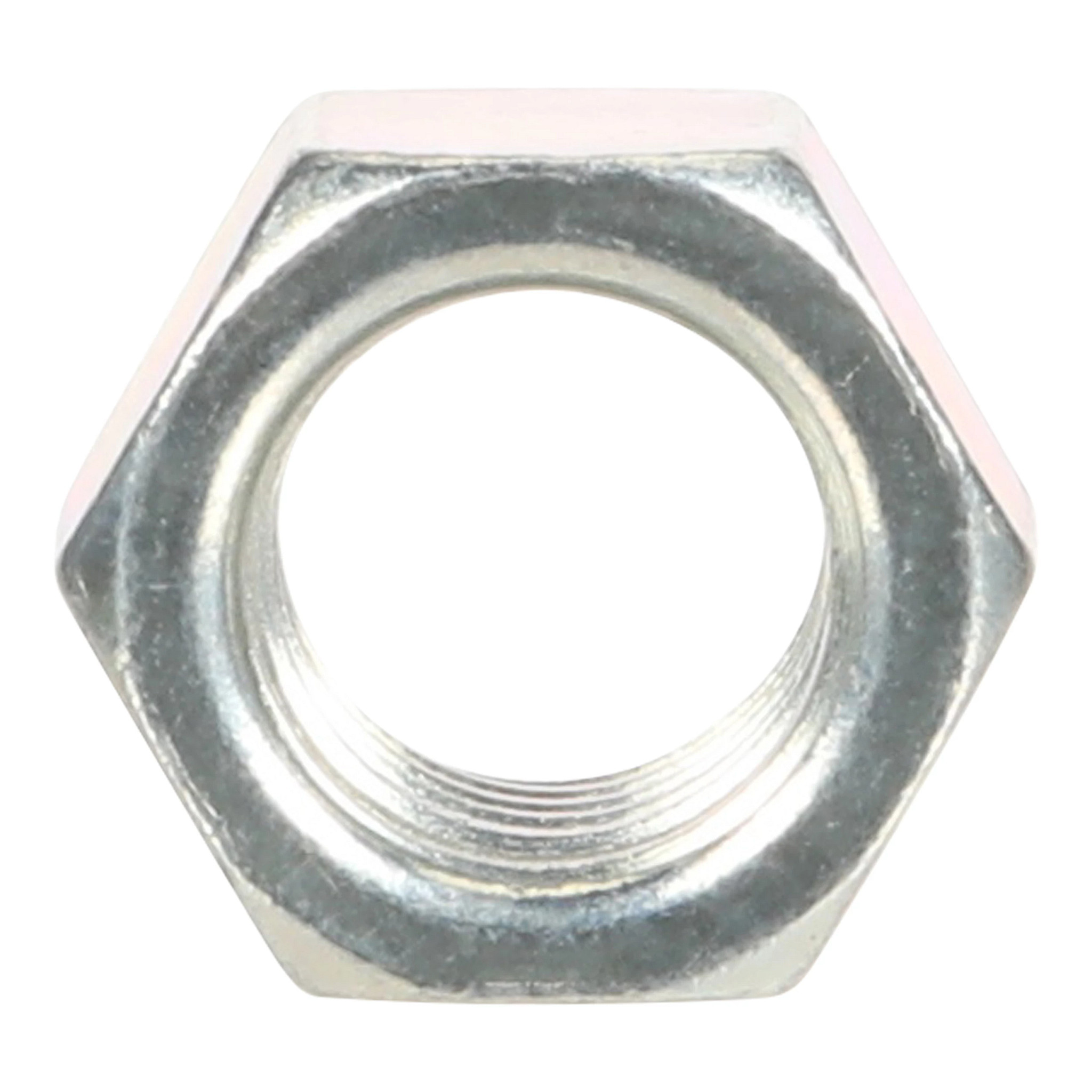 NUT | CASECE | SA | EN