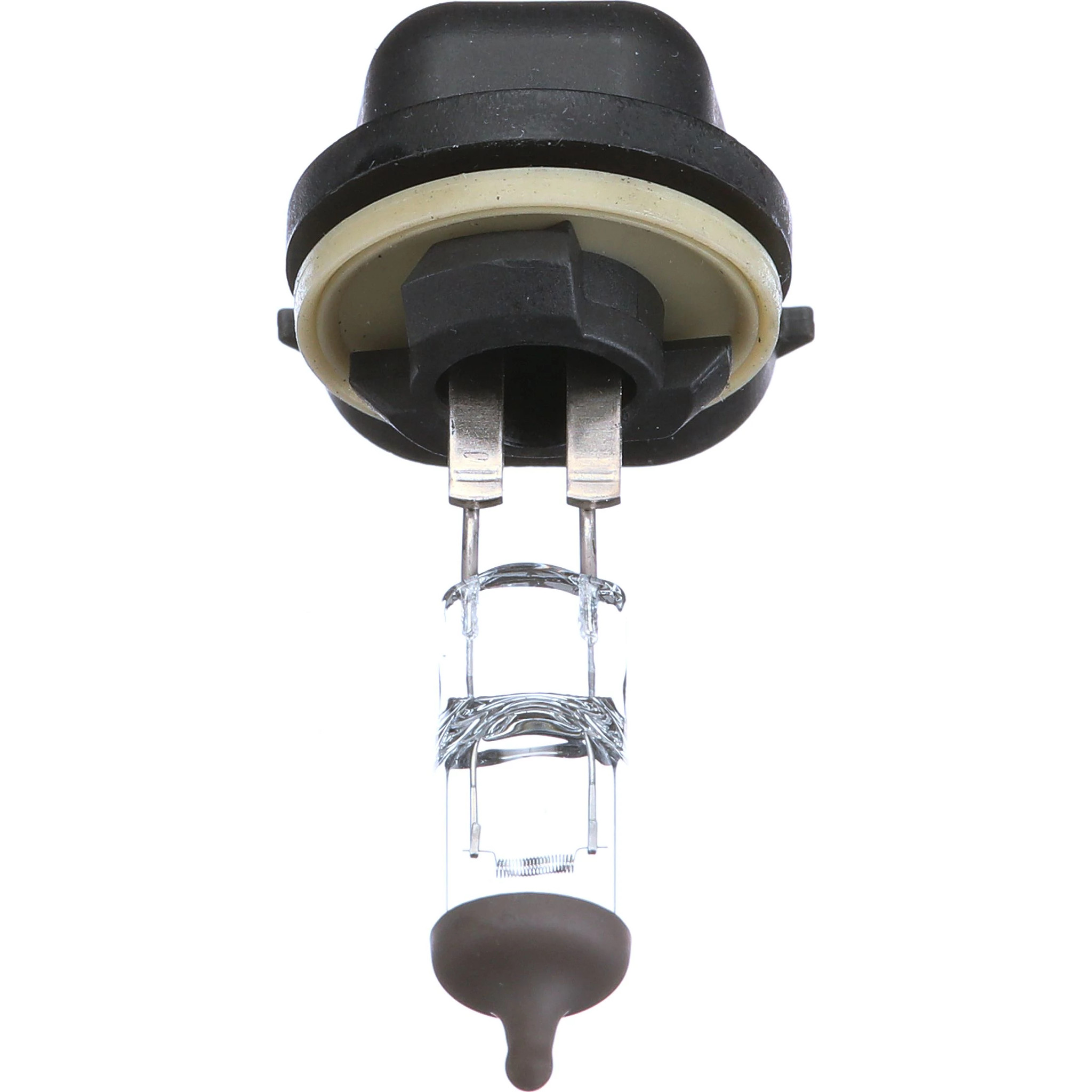 BULB | NEWHOLLANDCE | NZ | EN