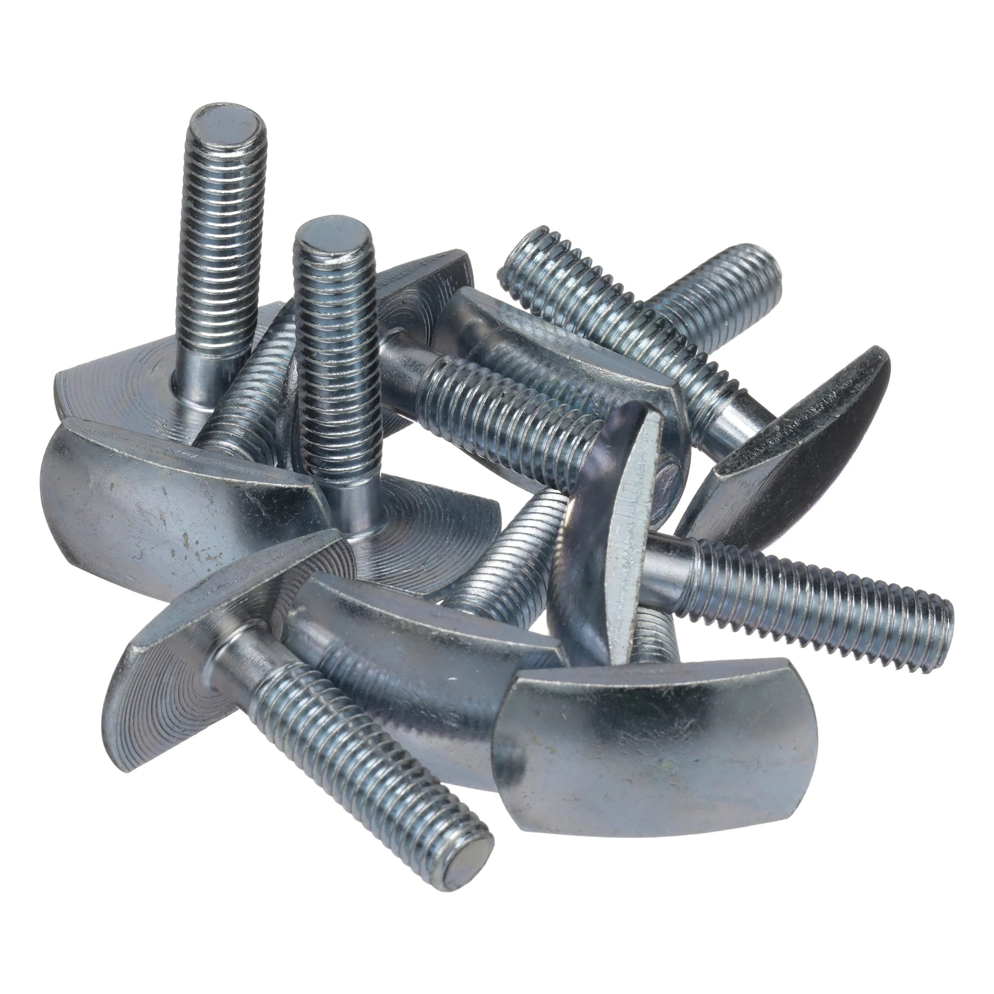 BOLT | CASECE | AMEA | EN