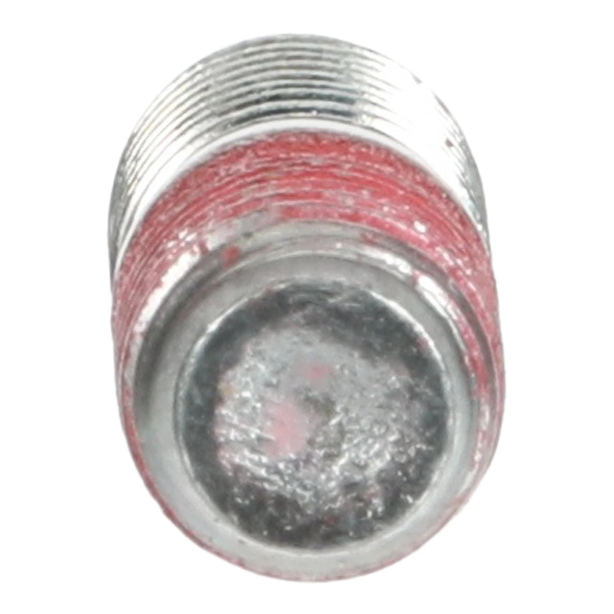 BOLT | CASECE | CA | EN