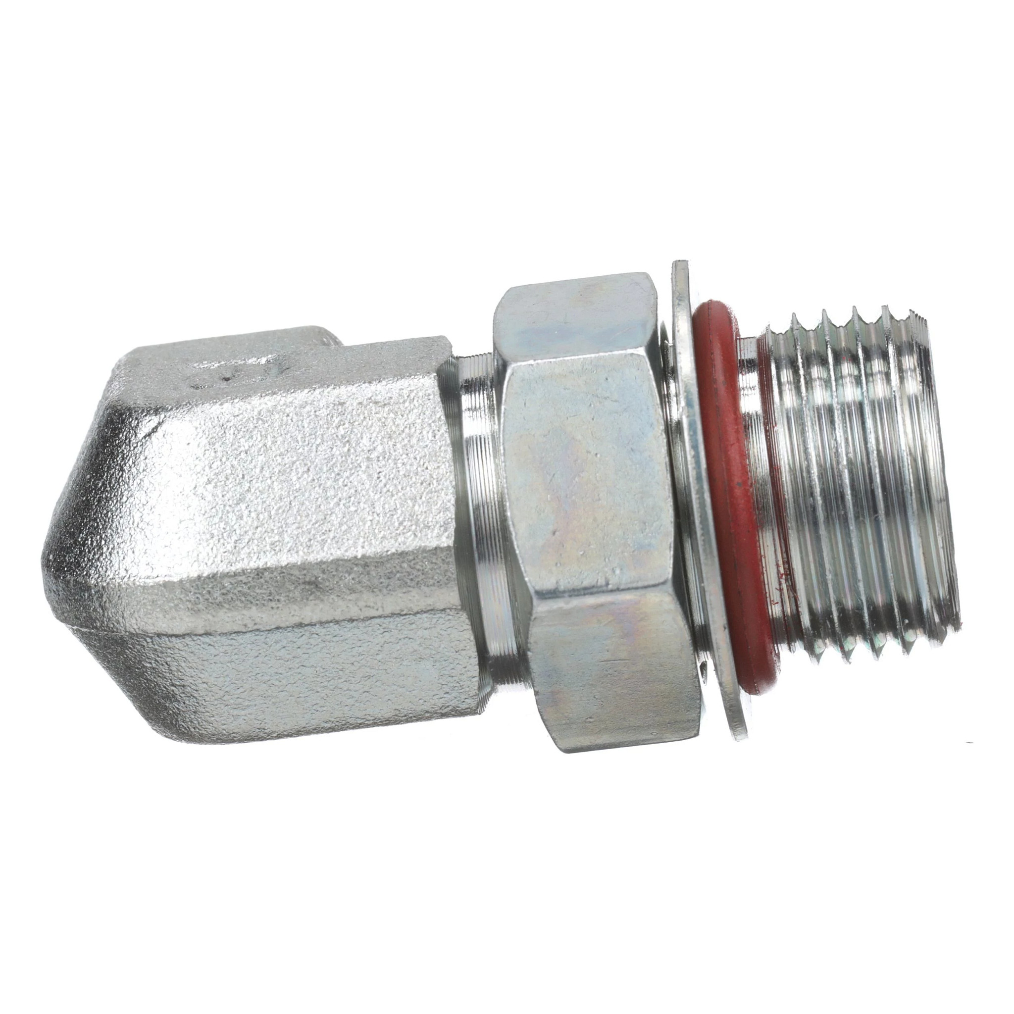 GOMITO | CASECE | EU | IT