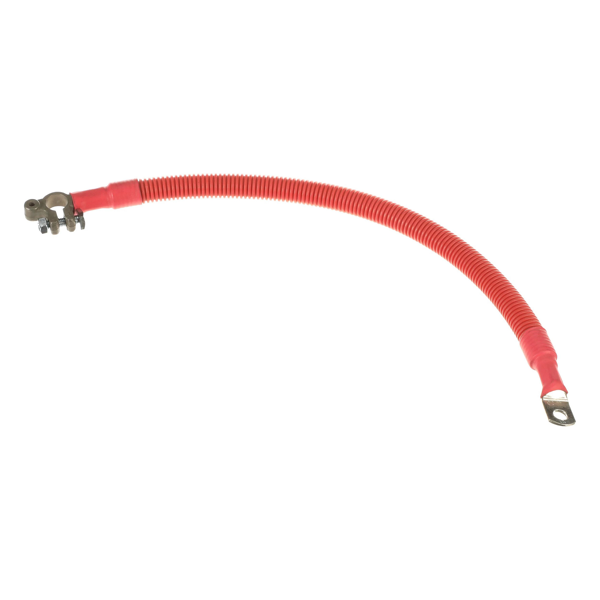 CABLE | CASECE | NZ | EN