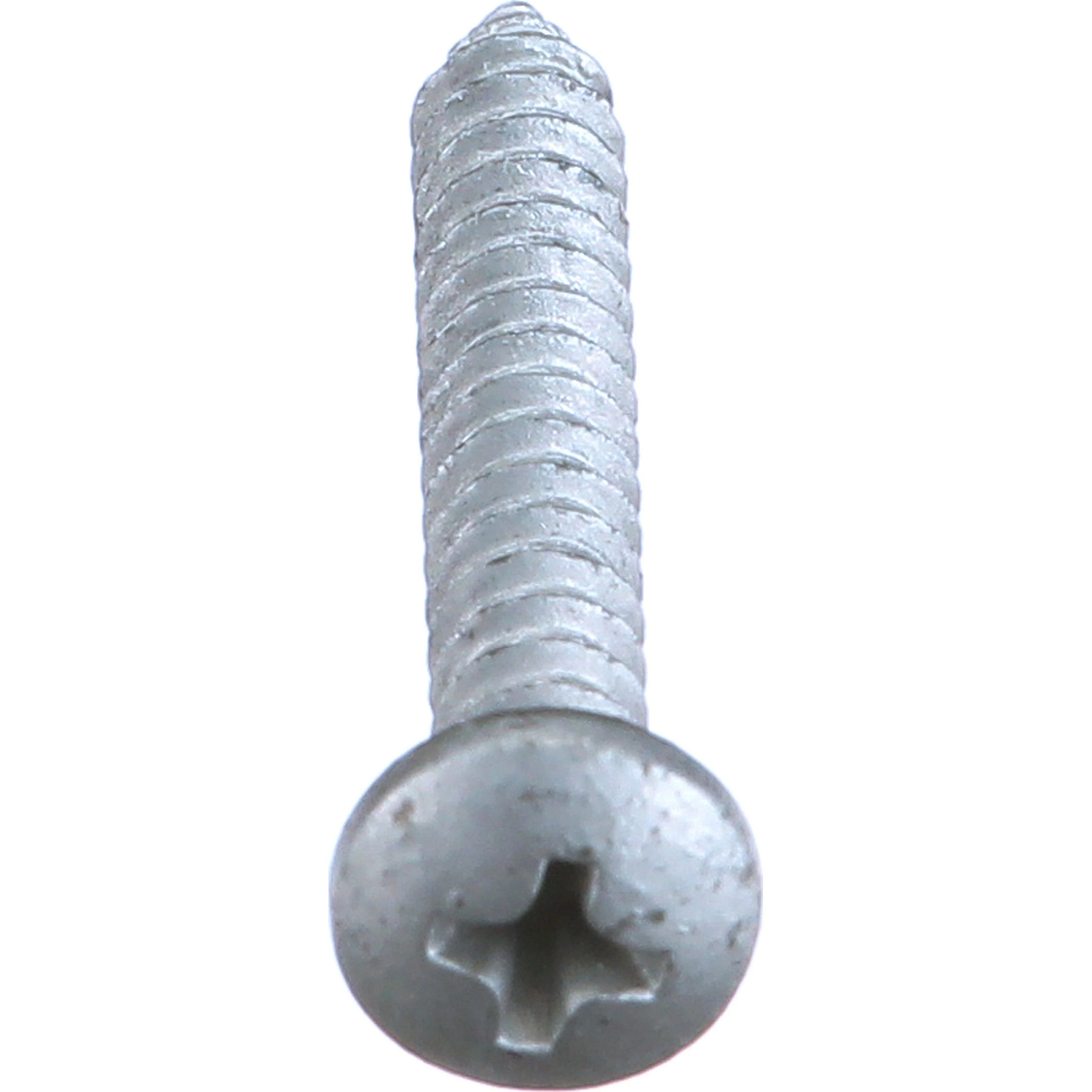 SELF-TAP SCREW | CASECE | CA | EN