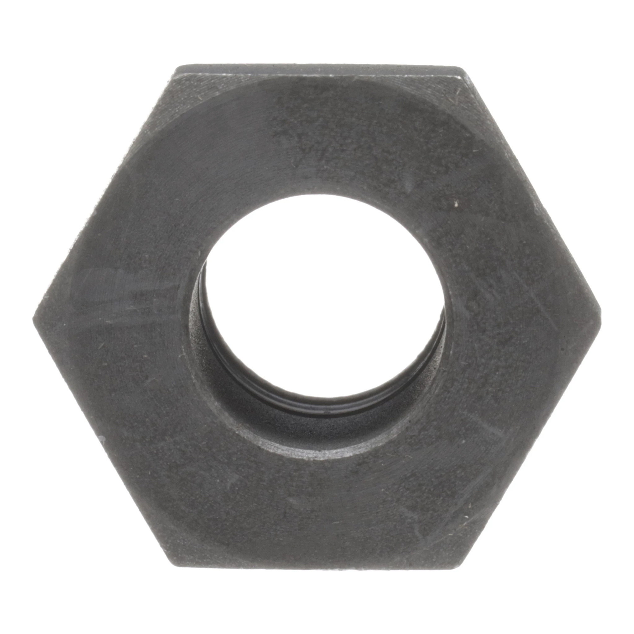 NUT | CASECE | US | EN