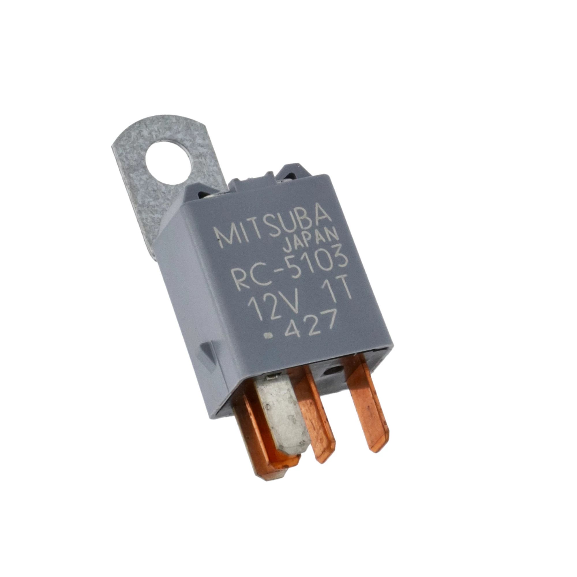 RELÉ | CASECE | EU | ES