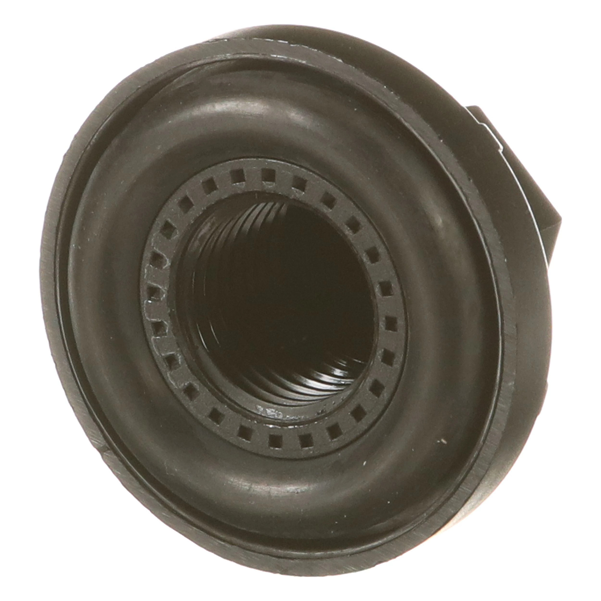 SPECIAL NUT | NEWHOLLANDCE | AMEA | EN