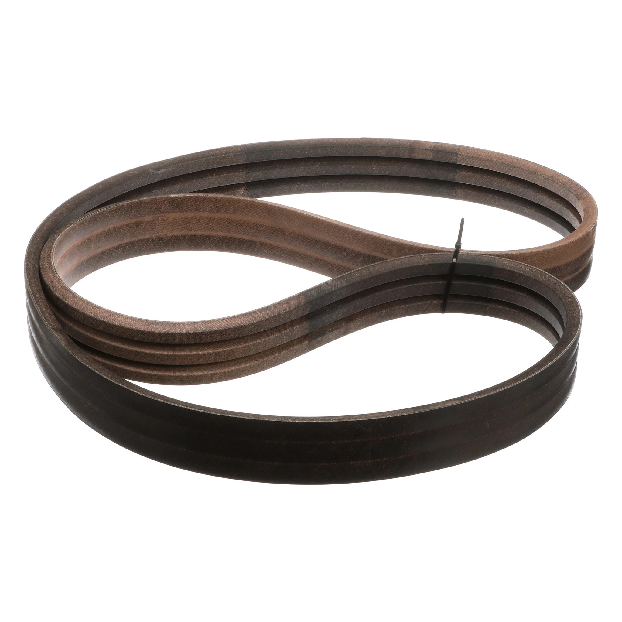 BELT | CASECE | US | EN