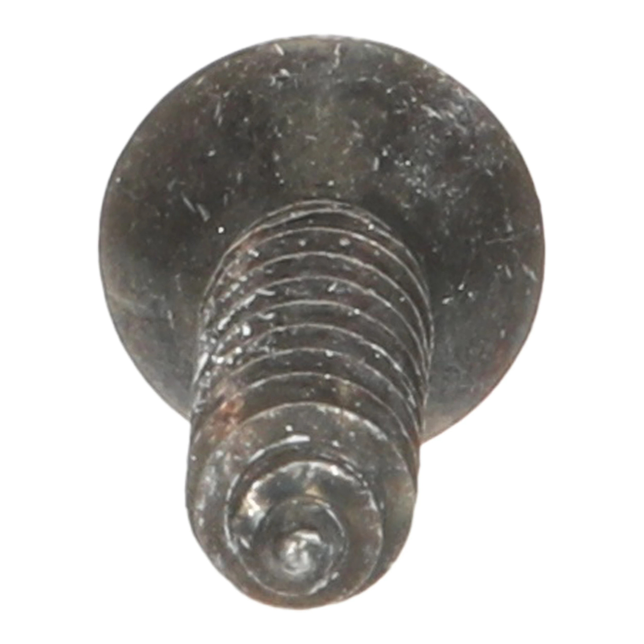 PARAFUSO