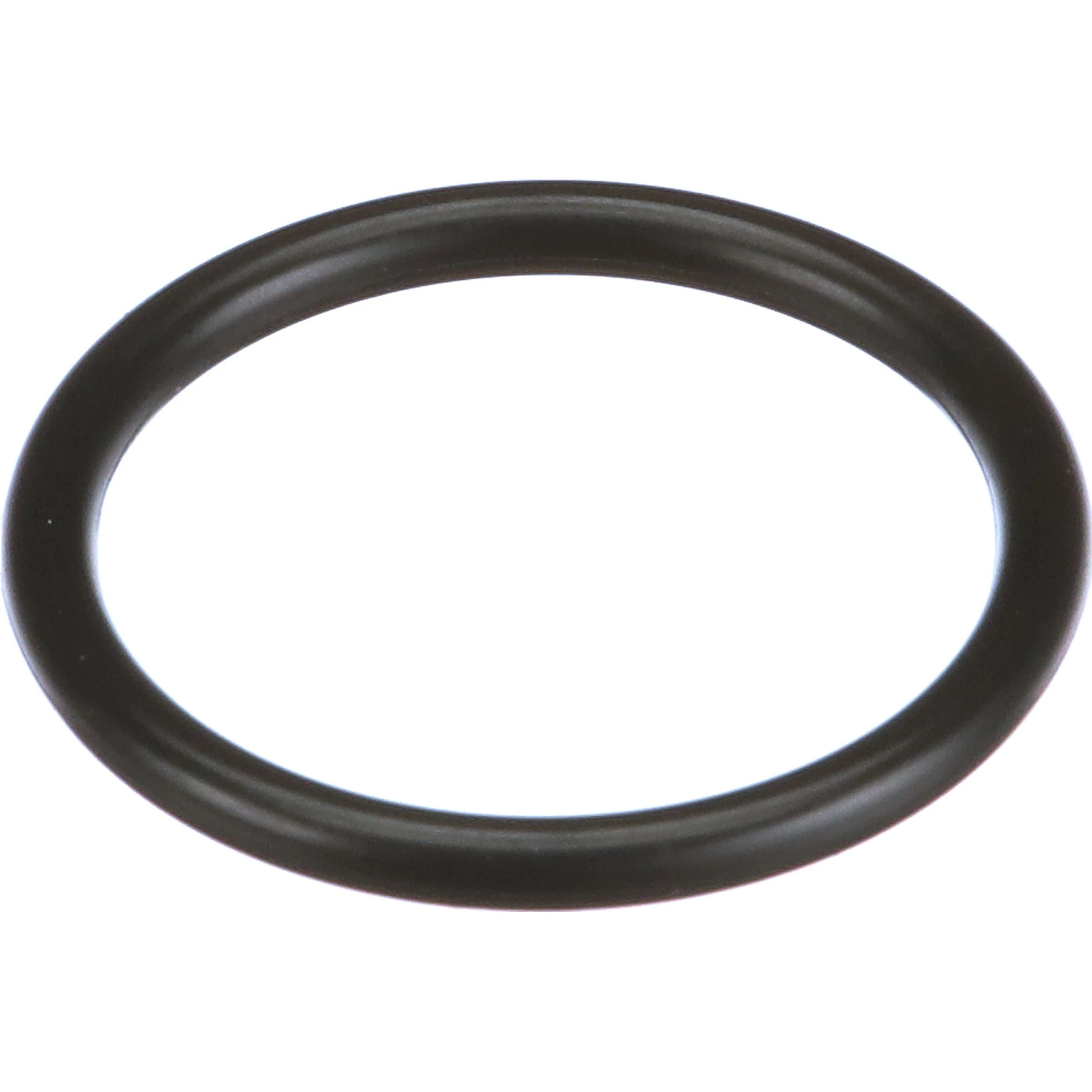 O-RING | CASECE | CA | EN
