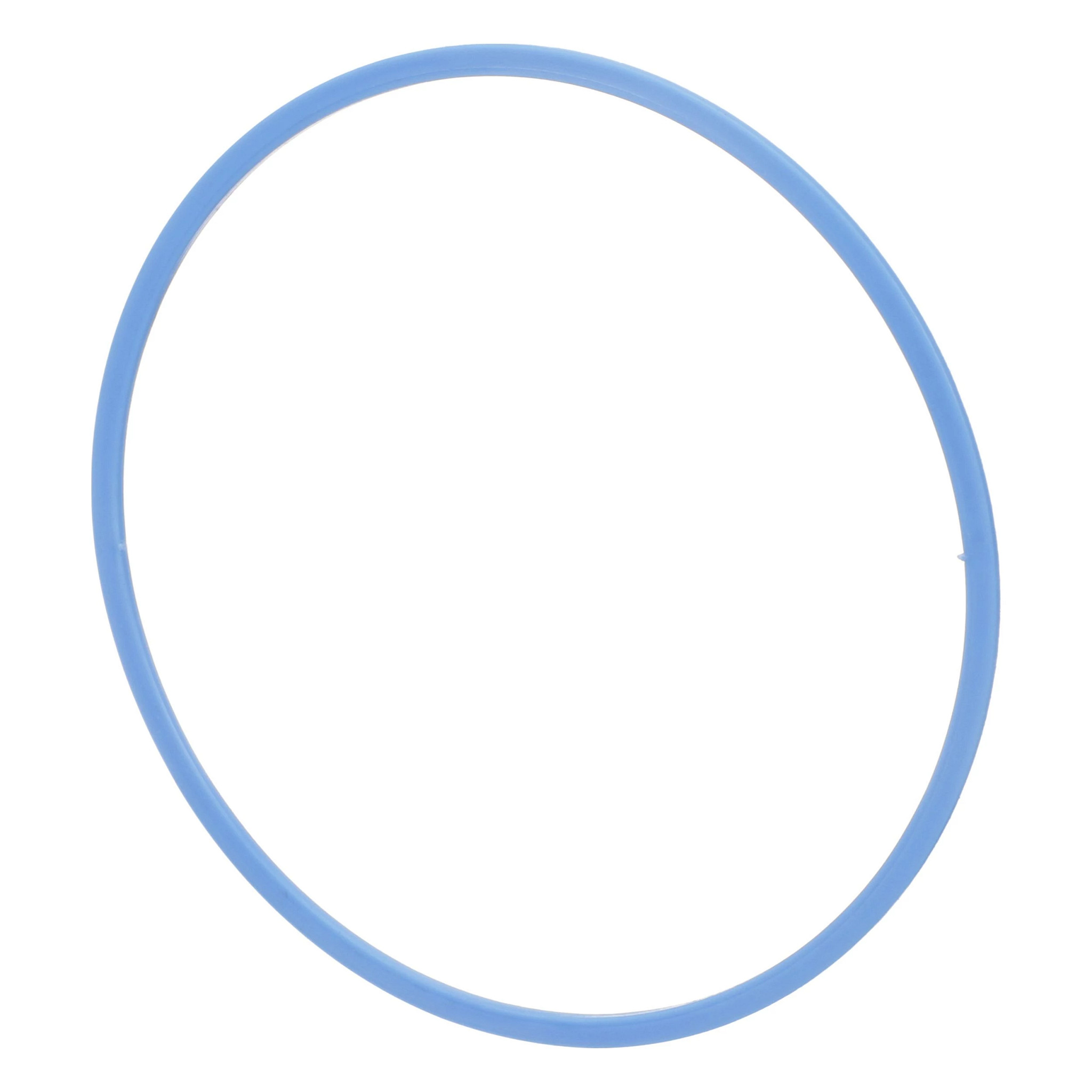 Thrust Washer | CASECE | CA | EN