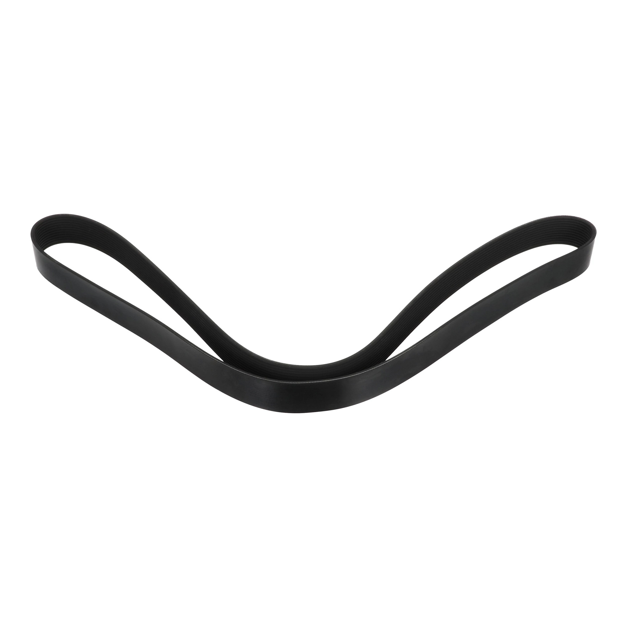 BELT | CASECE | US | EN