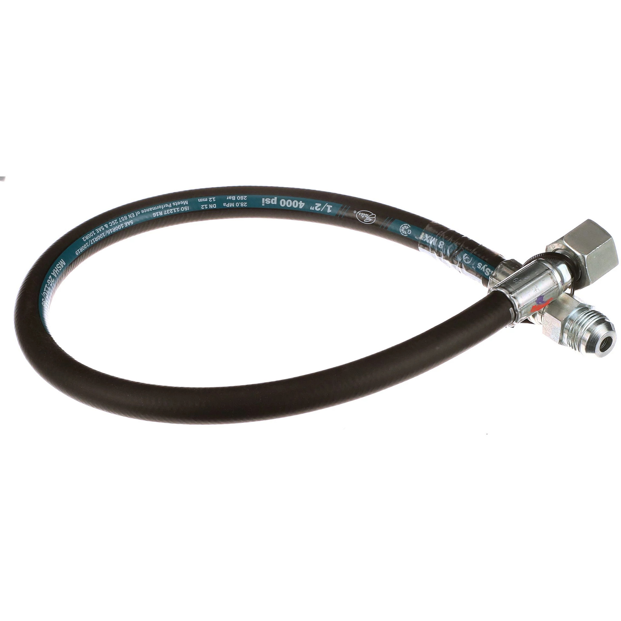 HOSE | CASECE | AMEA | EN