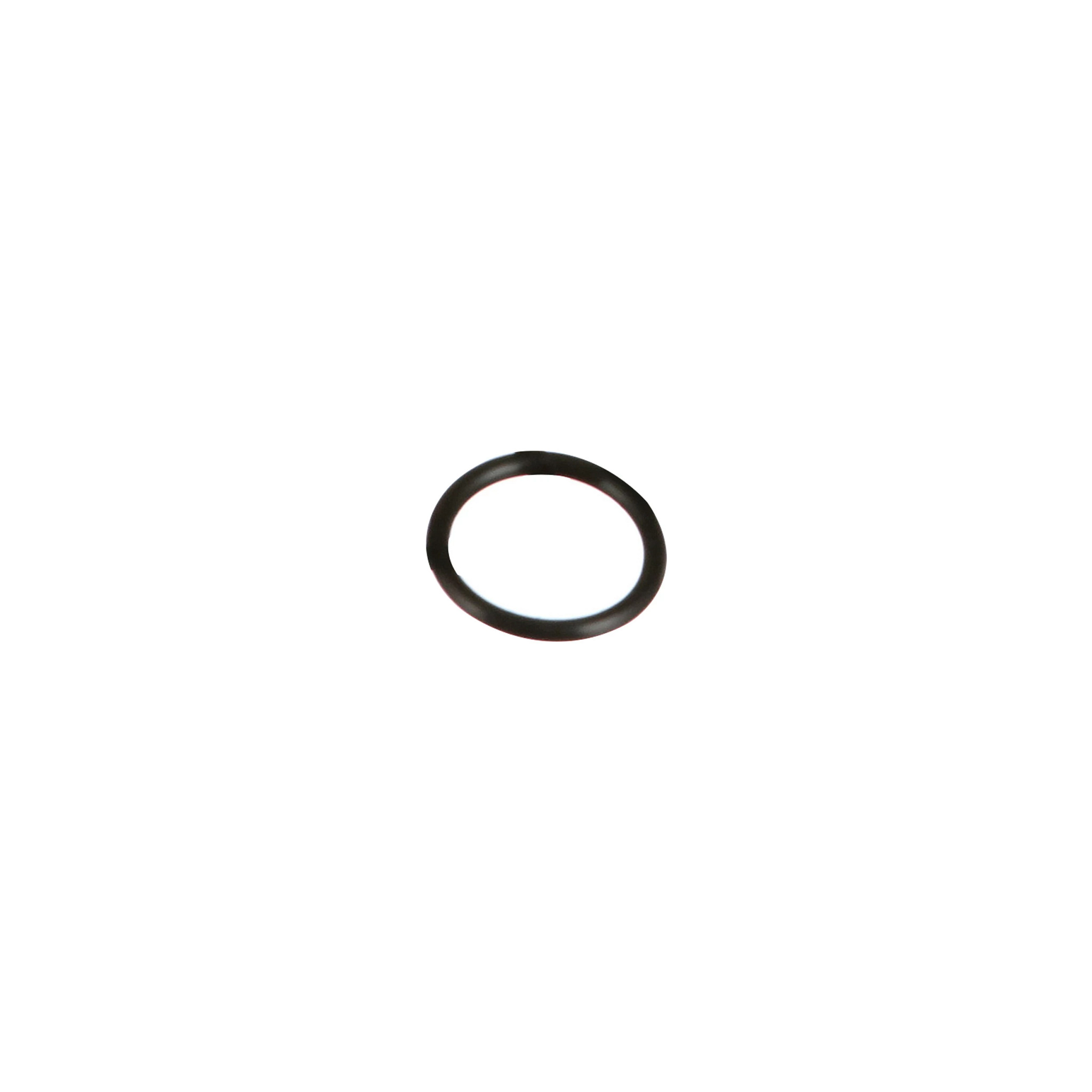 O-RING | CASEIH | CA | EN