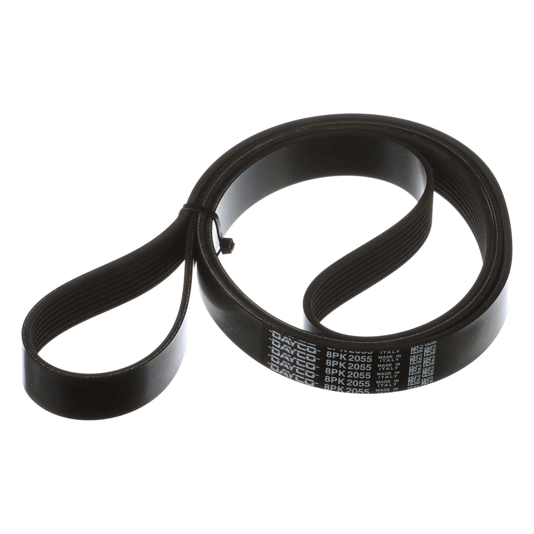 V-BELT | CASECE | CA | FR