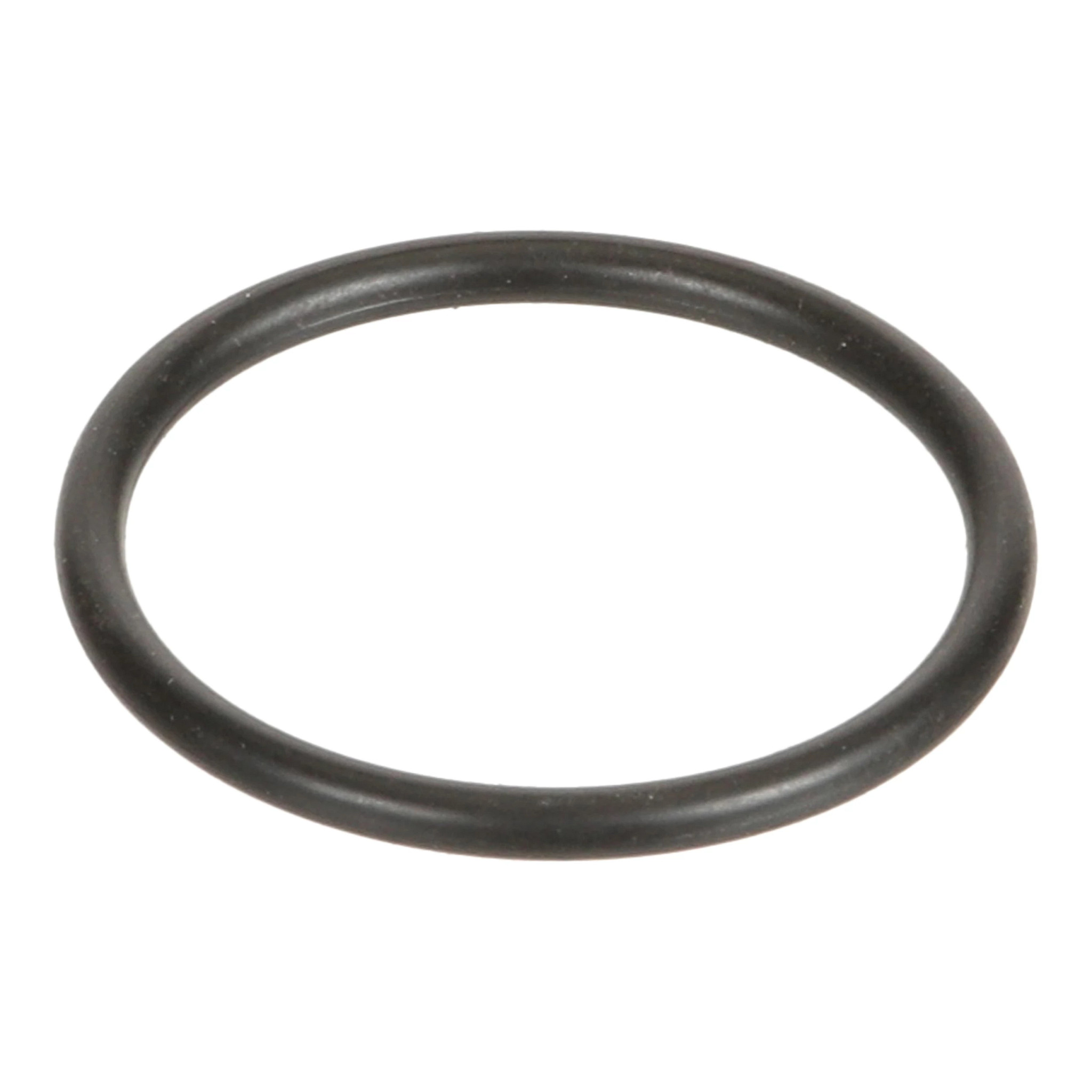 O-RING | CASECE | EU | FR