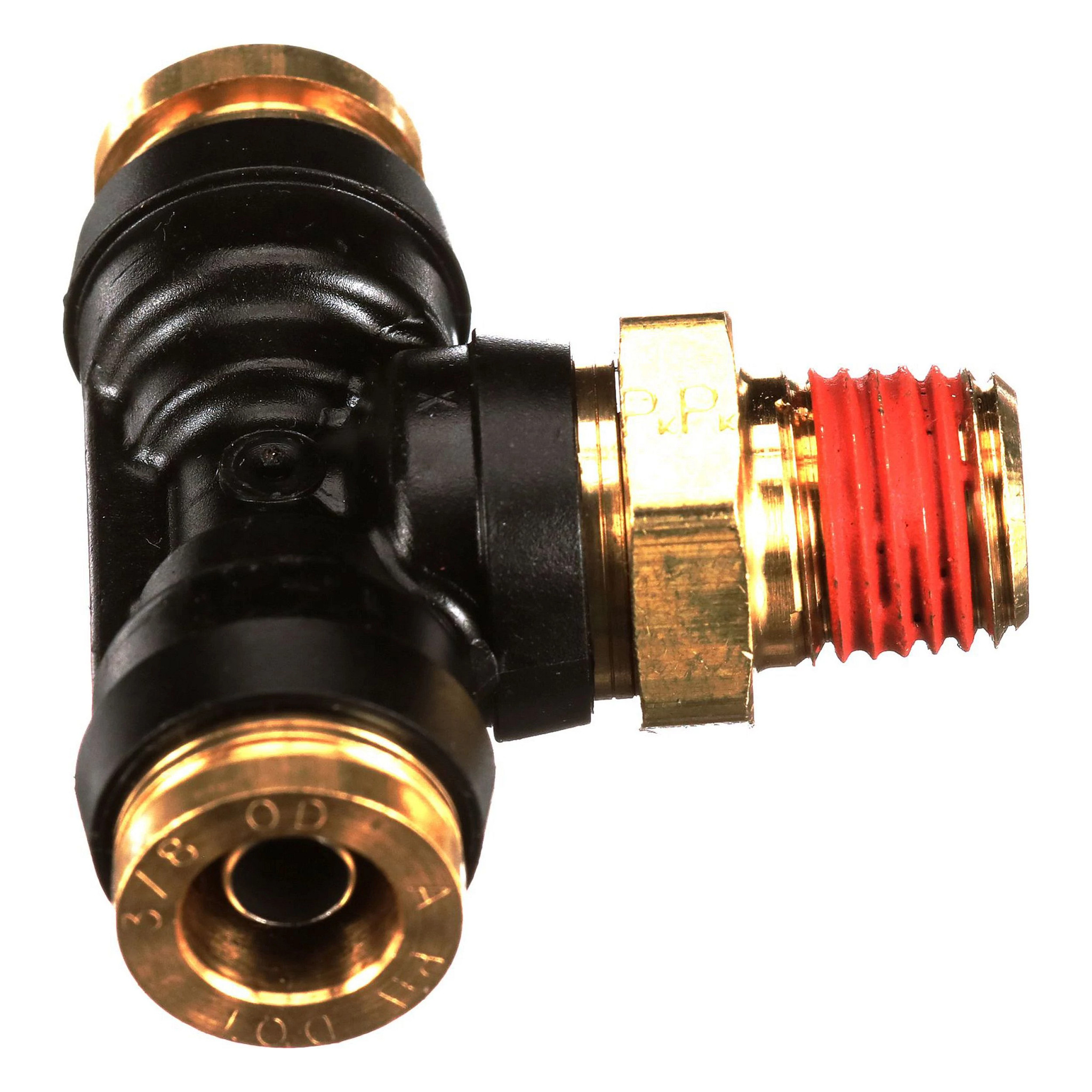 BRANCH TEE | CASECE | CA | EN