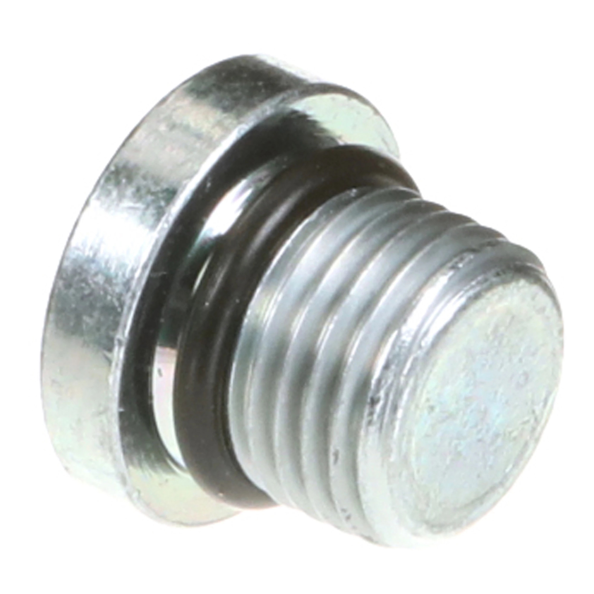 PLUG | STEYR | CA | EN